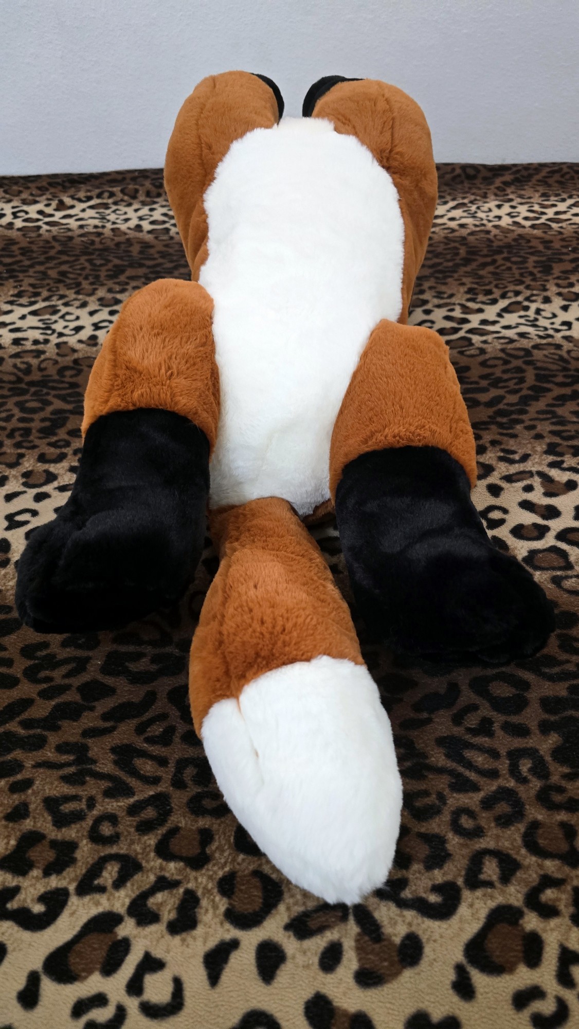 20260212_132137(0) (Copy)