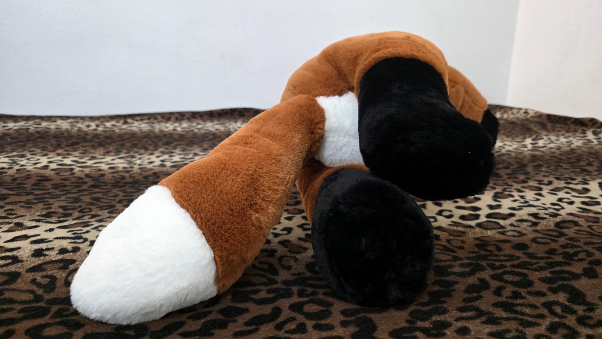 20260212_132142 (Copy)