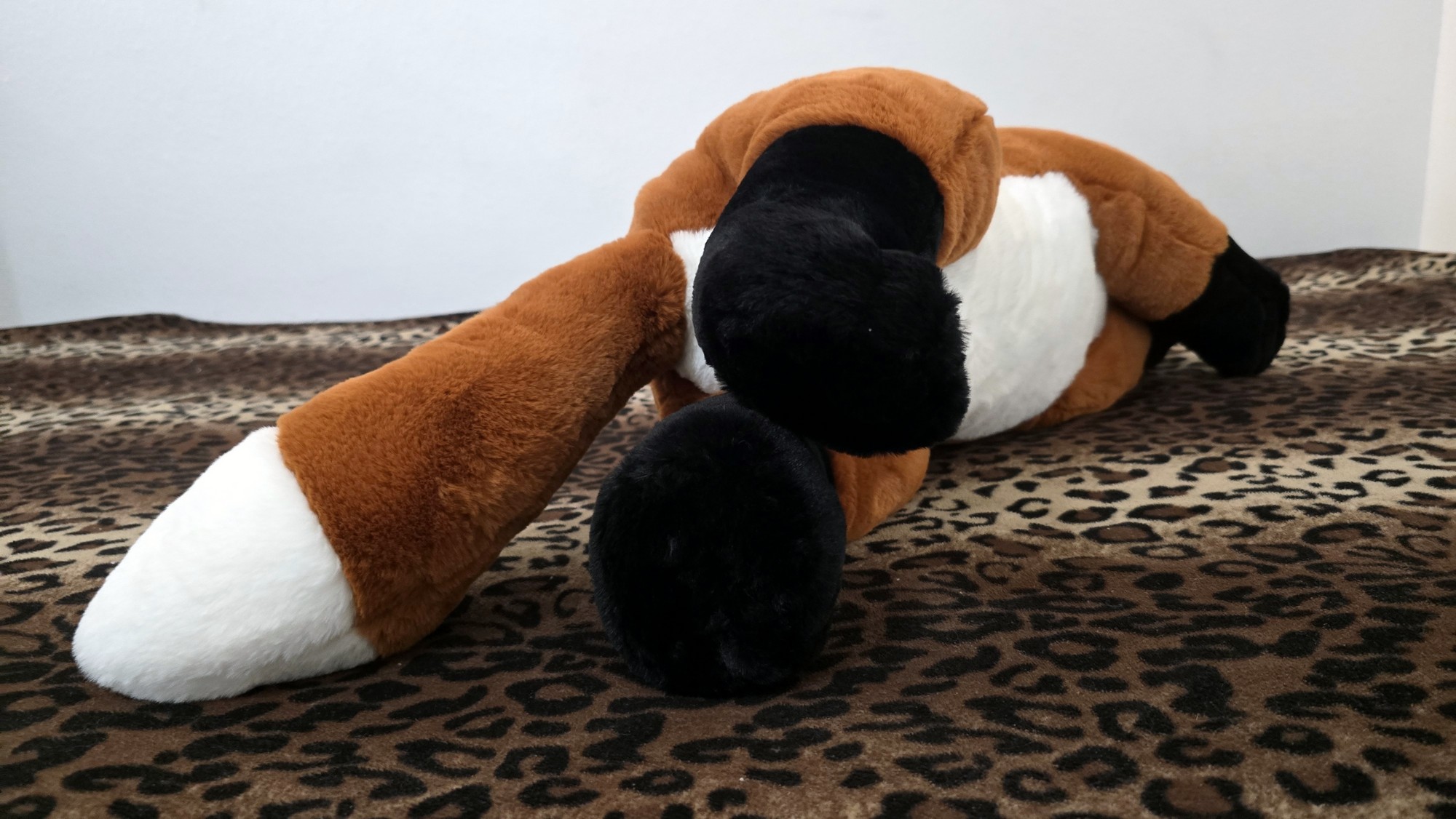 20260212_132143 (Copy)