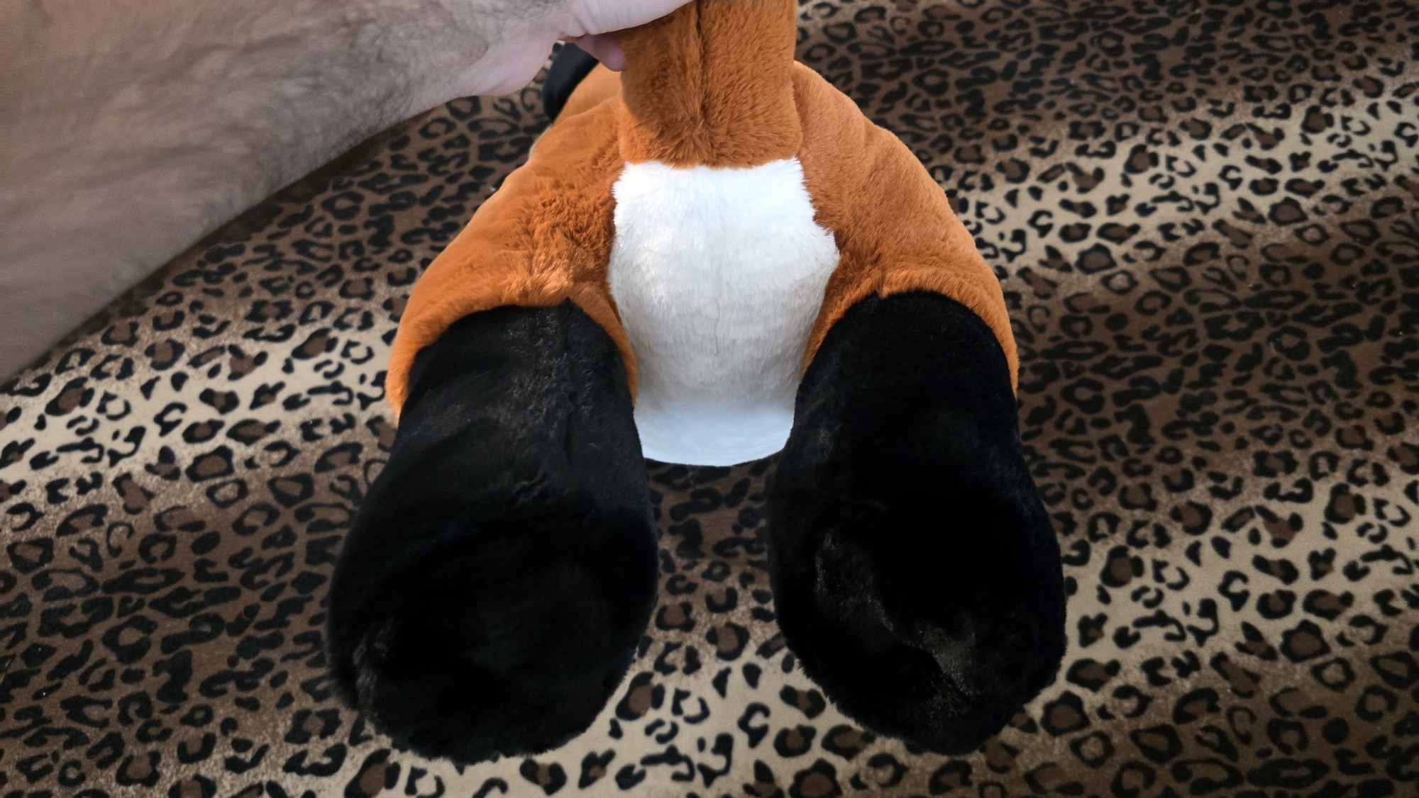 20260212_132152 (Copy)