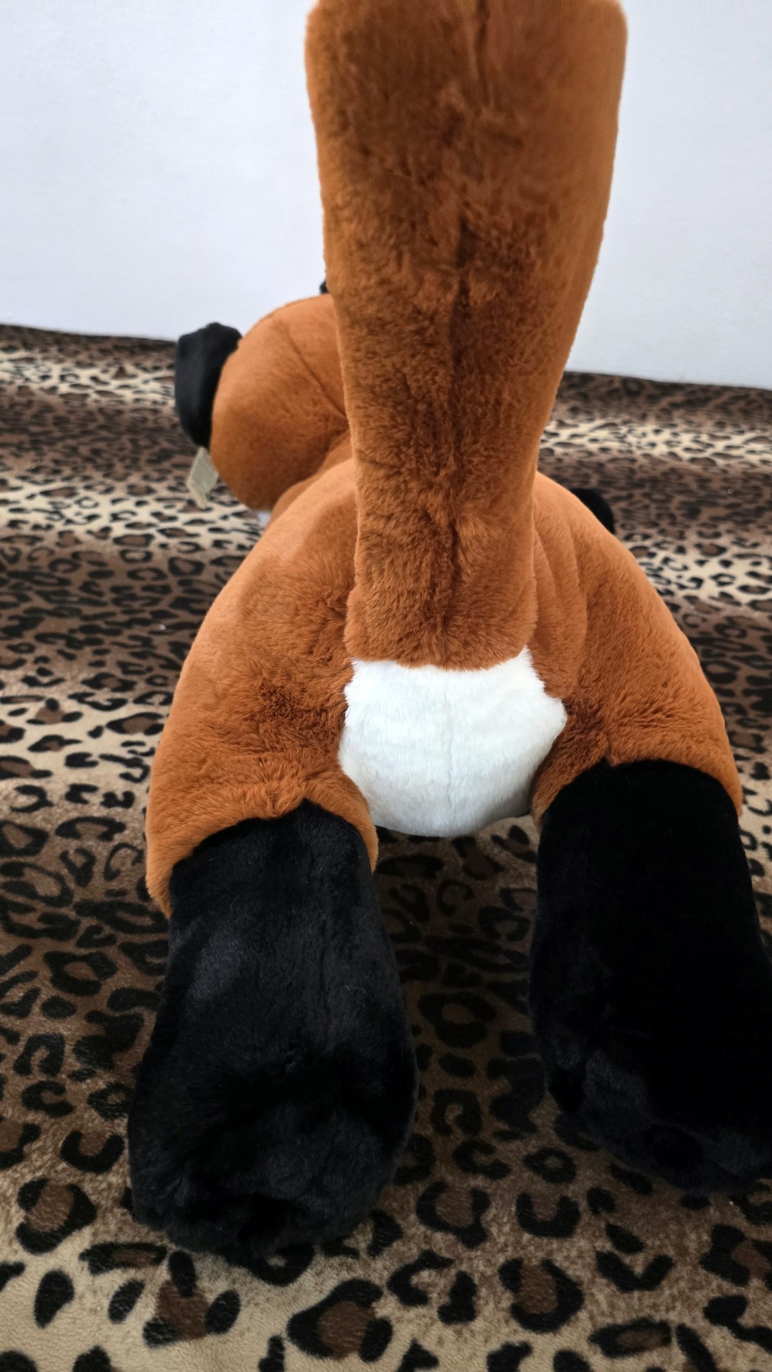 20260212_132208 (Copy)