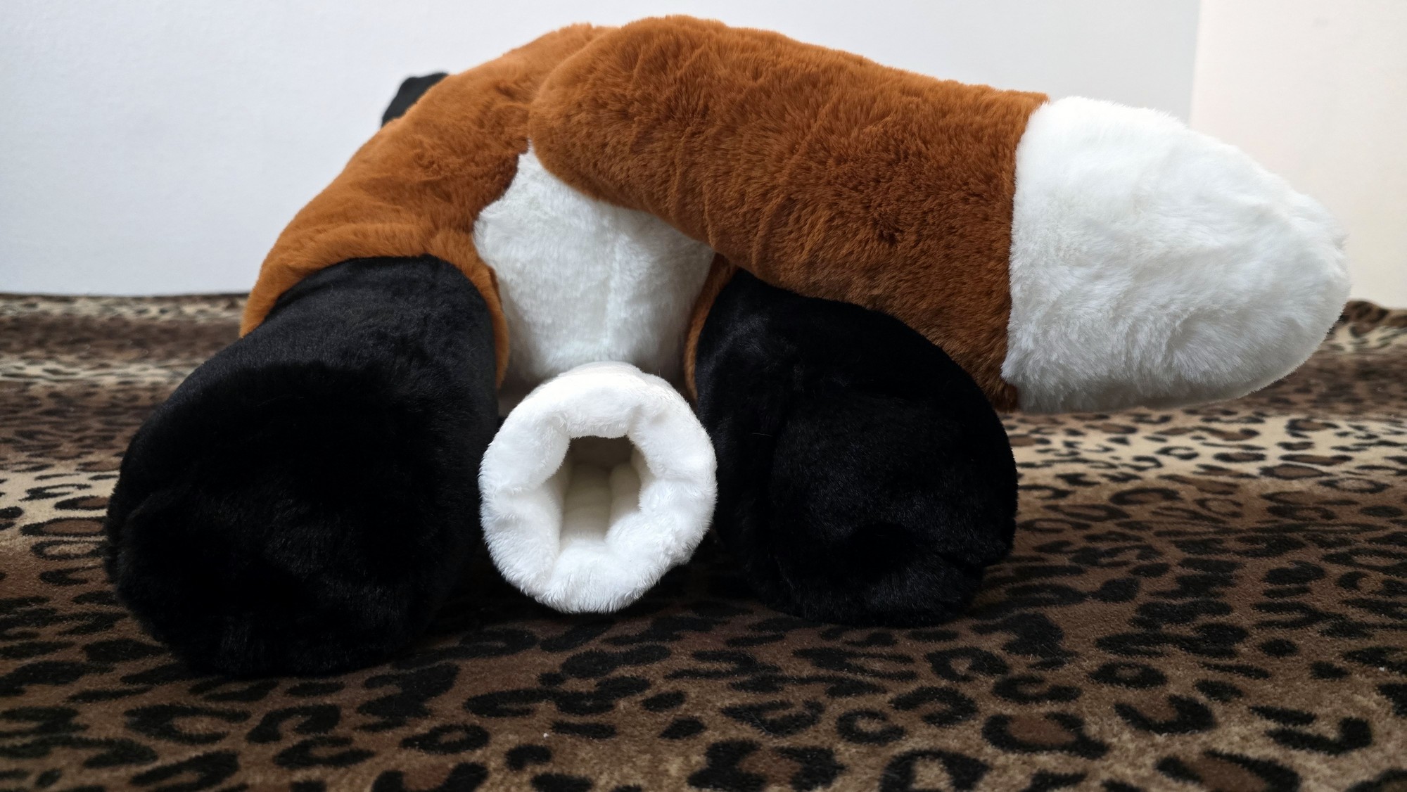 20260212_171012 (Copy)