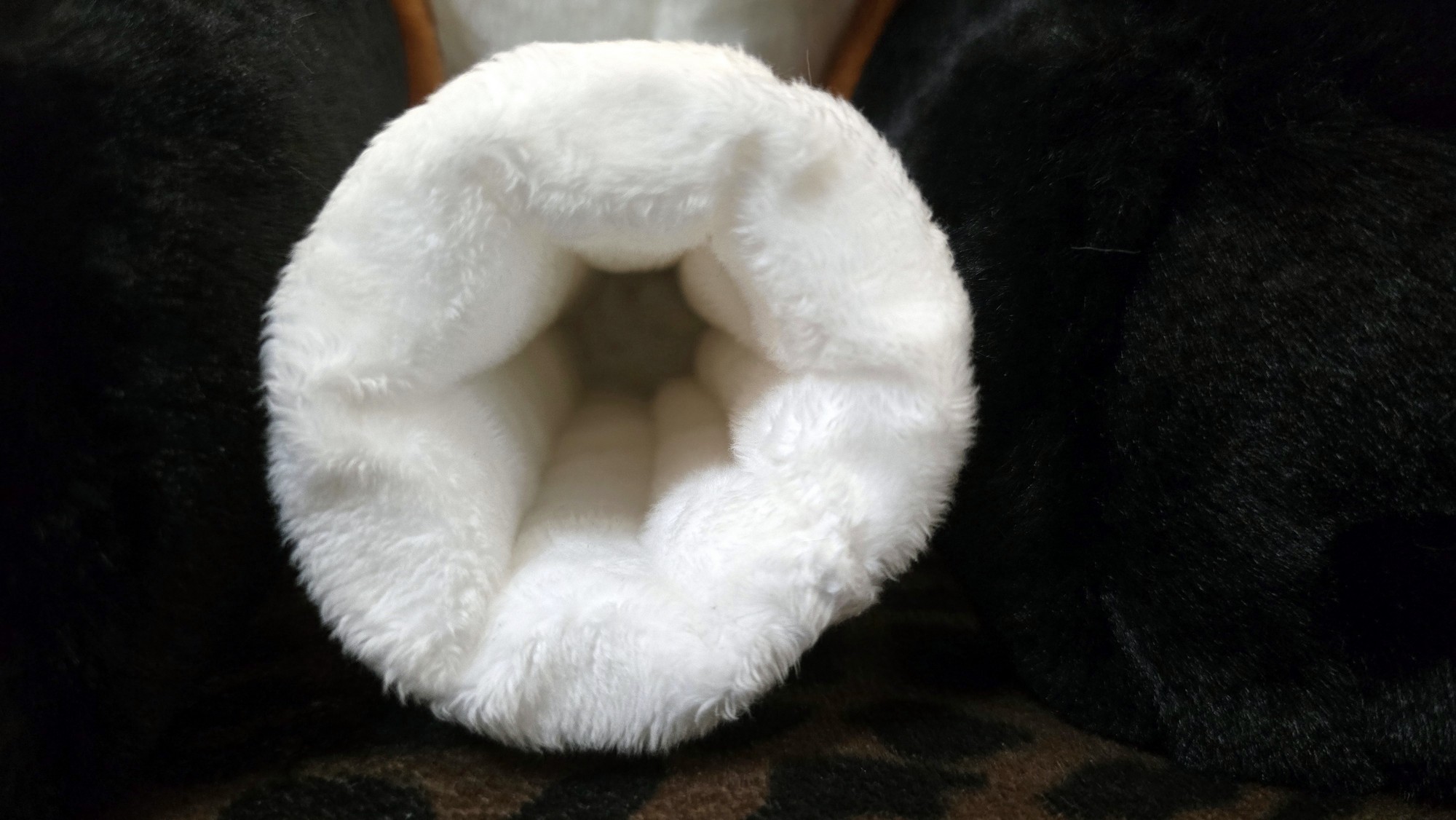 20260212_171024 (Copy)