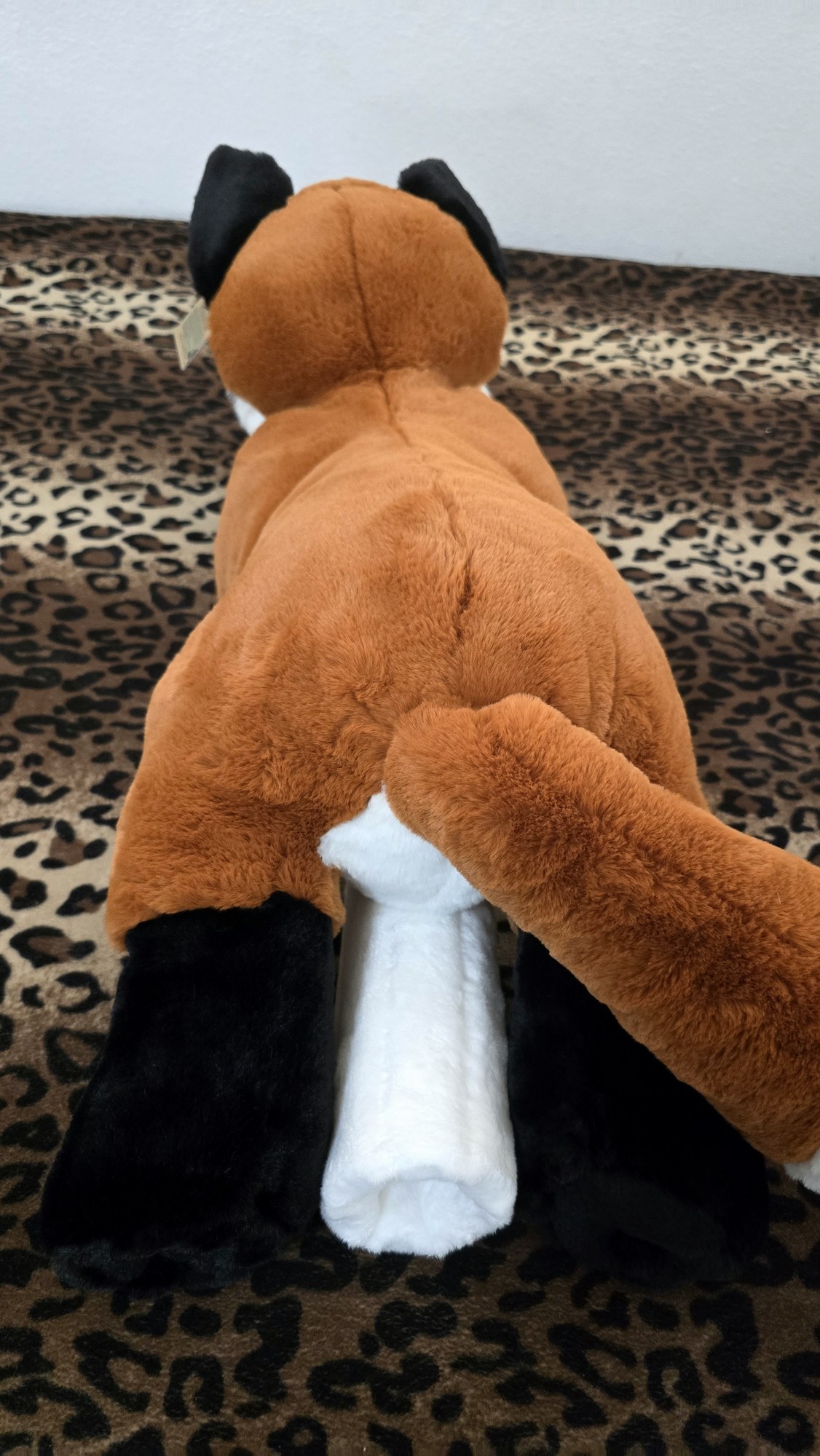 20260212_171034(0) (Copy)