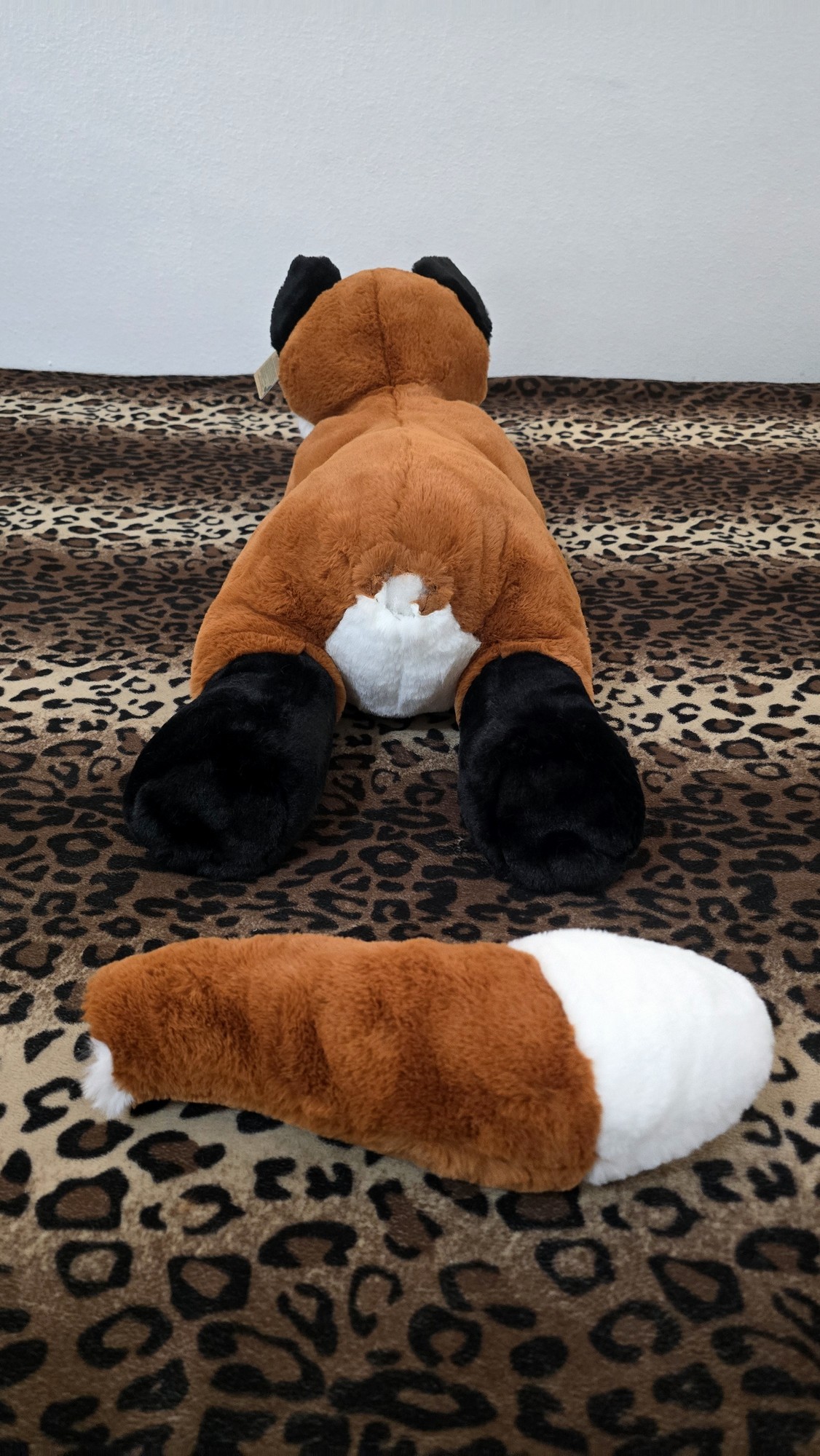 20260212_171713 (Copy)