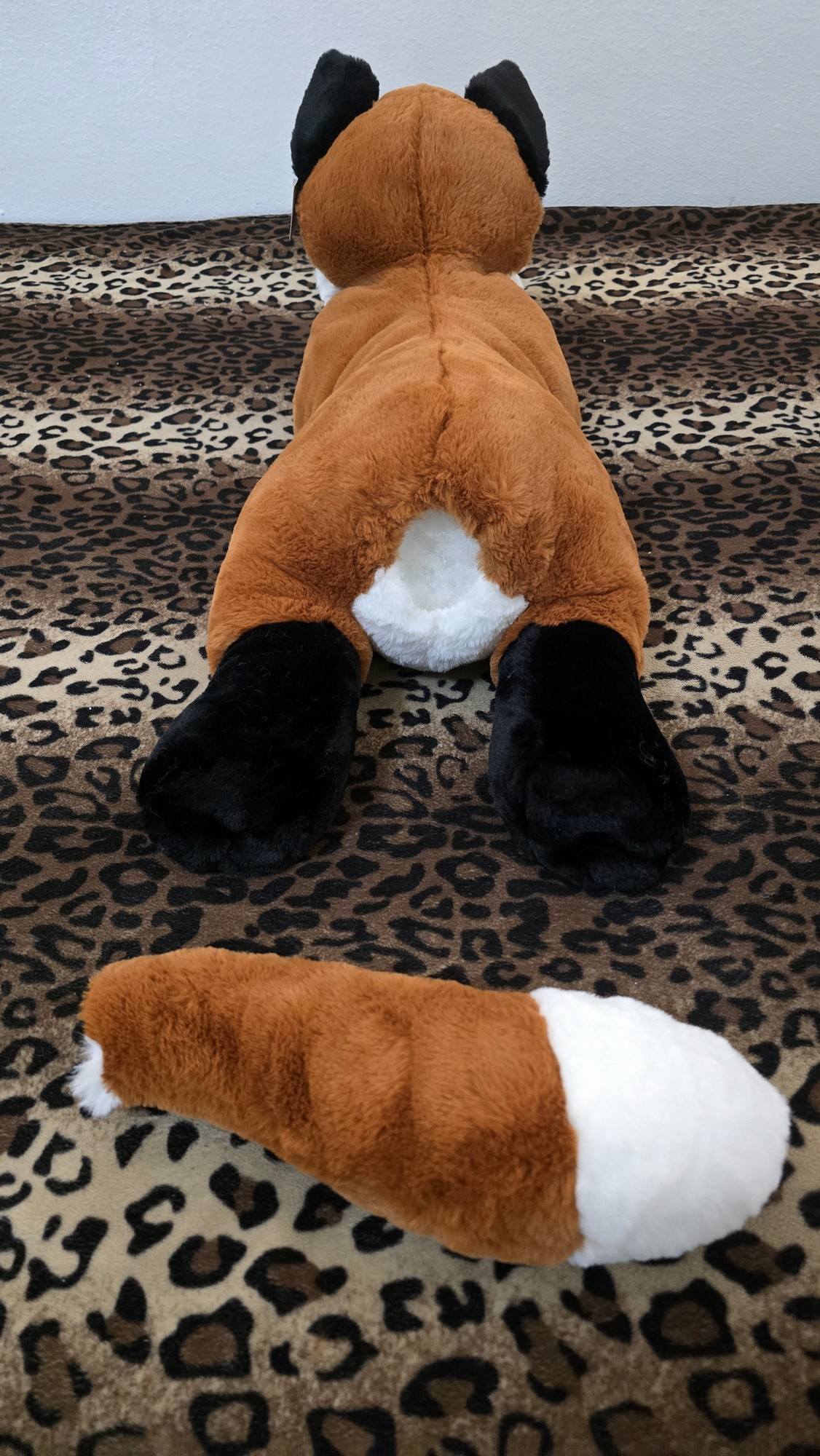 20260212_174808 (Copy)