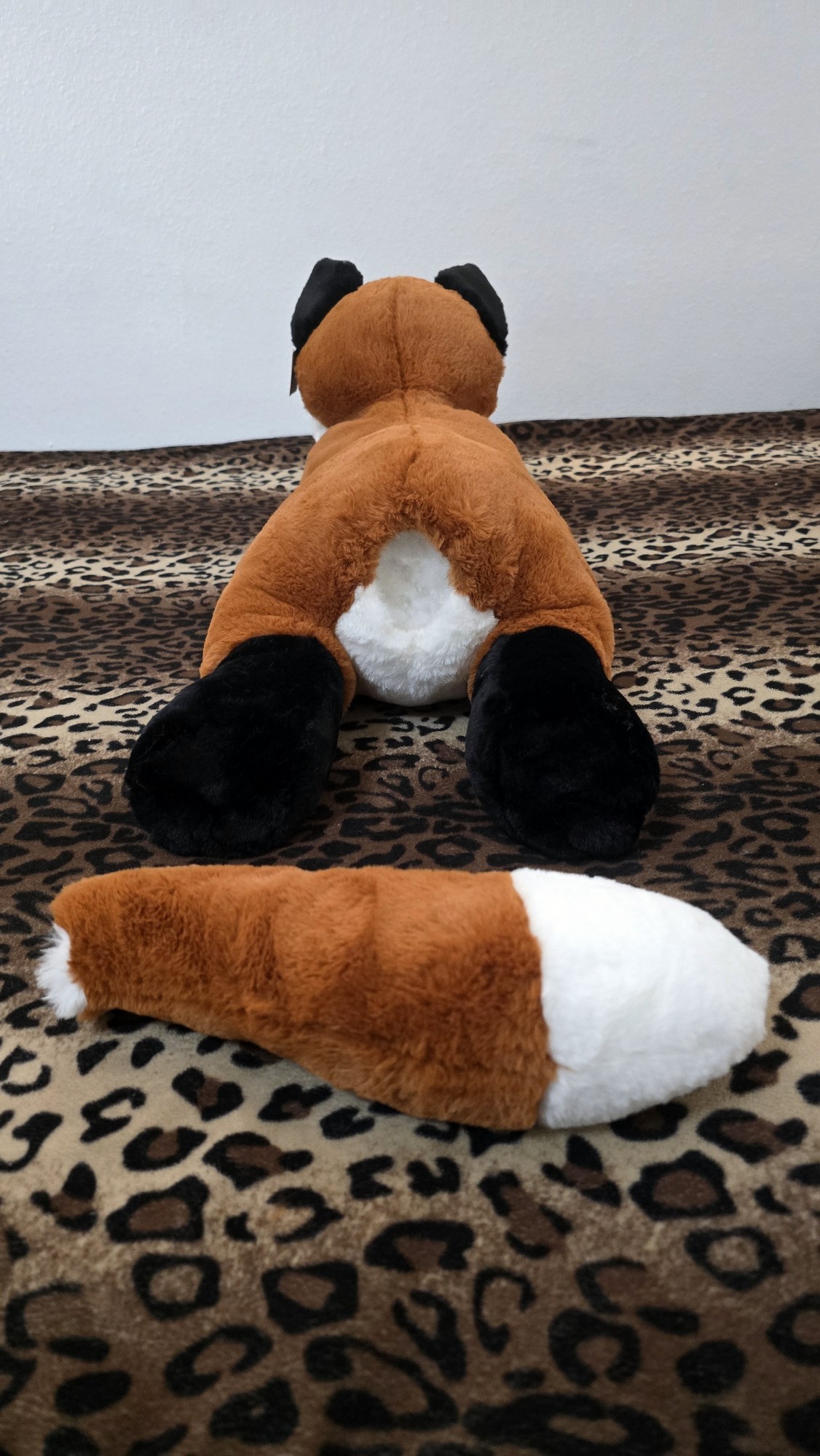 20260212_174811 (Copy)