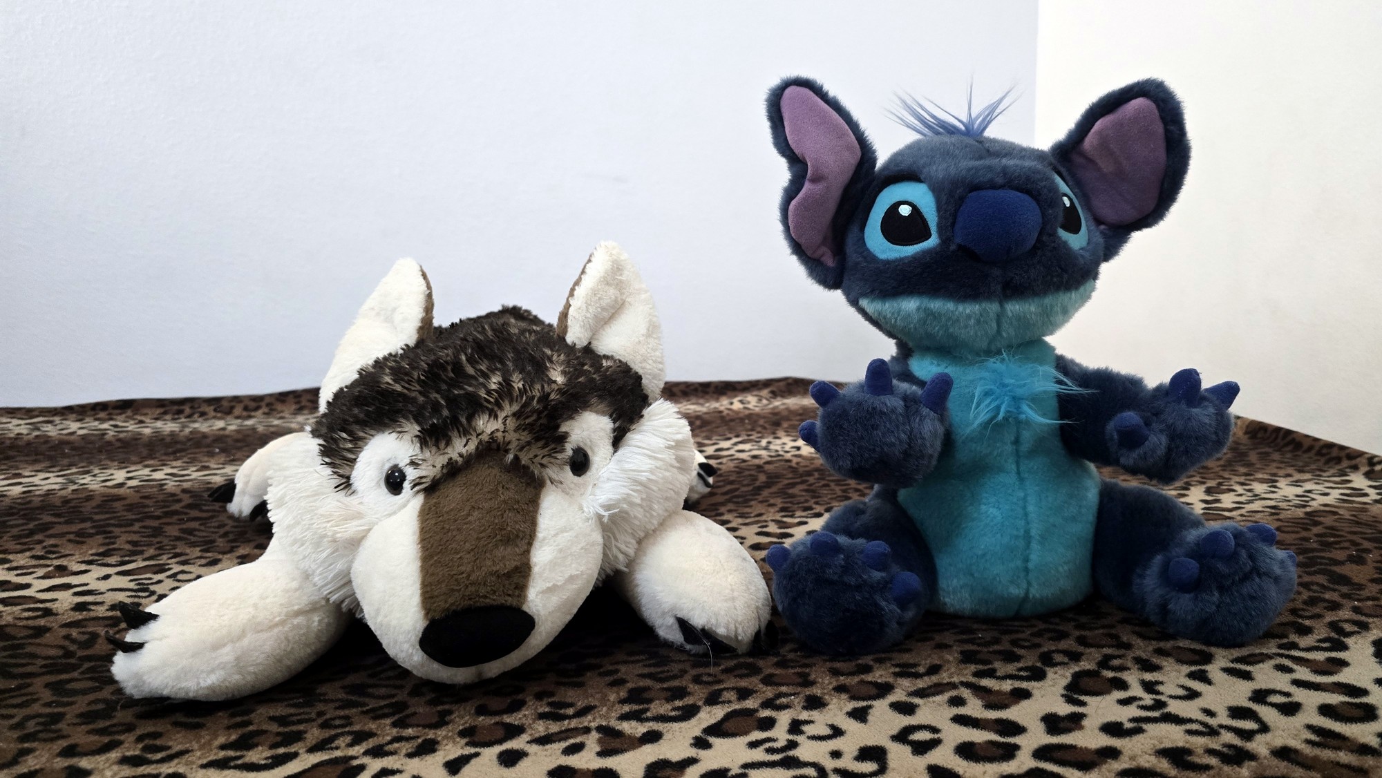 20260216_144559 (Copy)