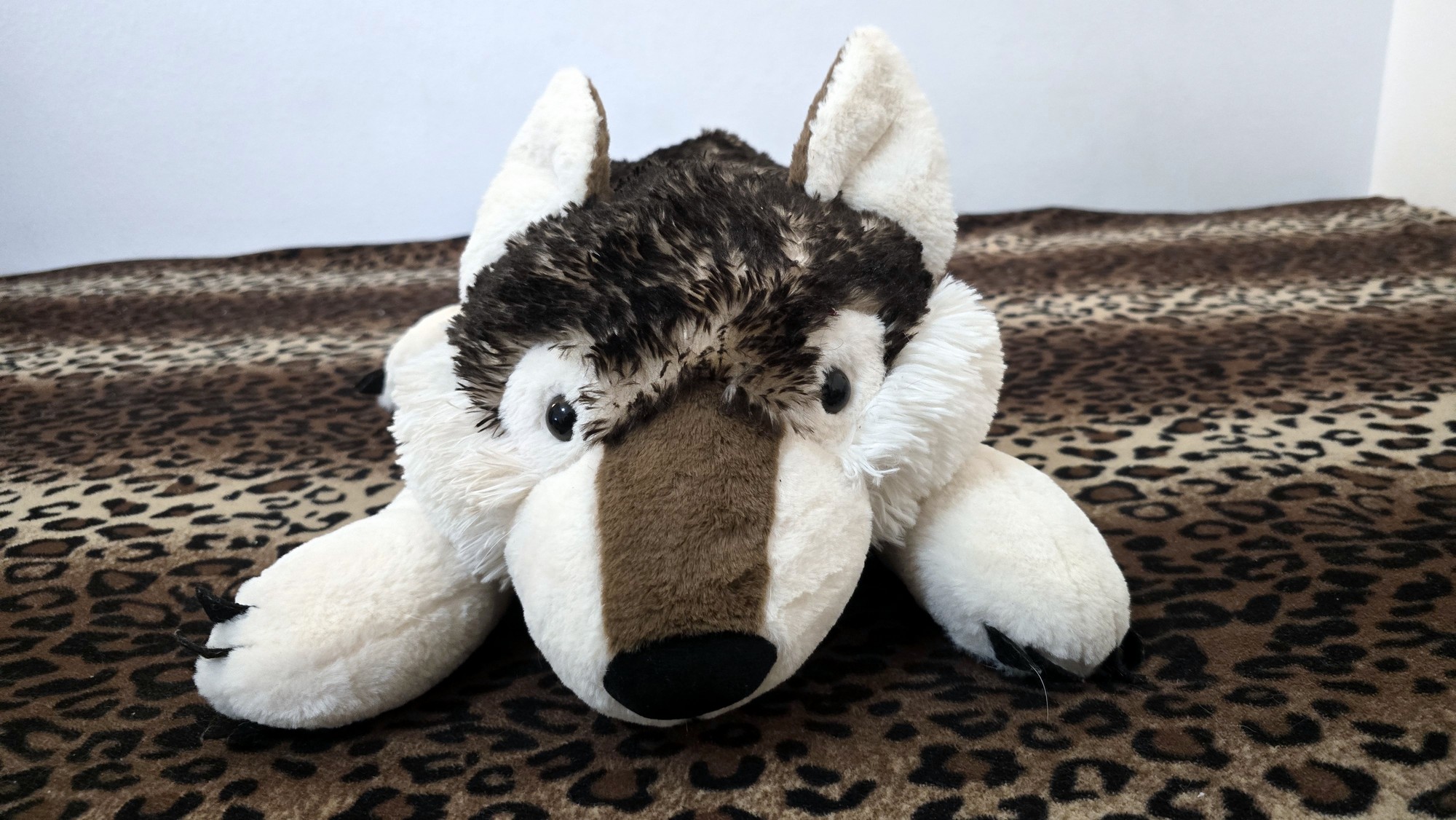 20260216_144603(0) (Copy)