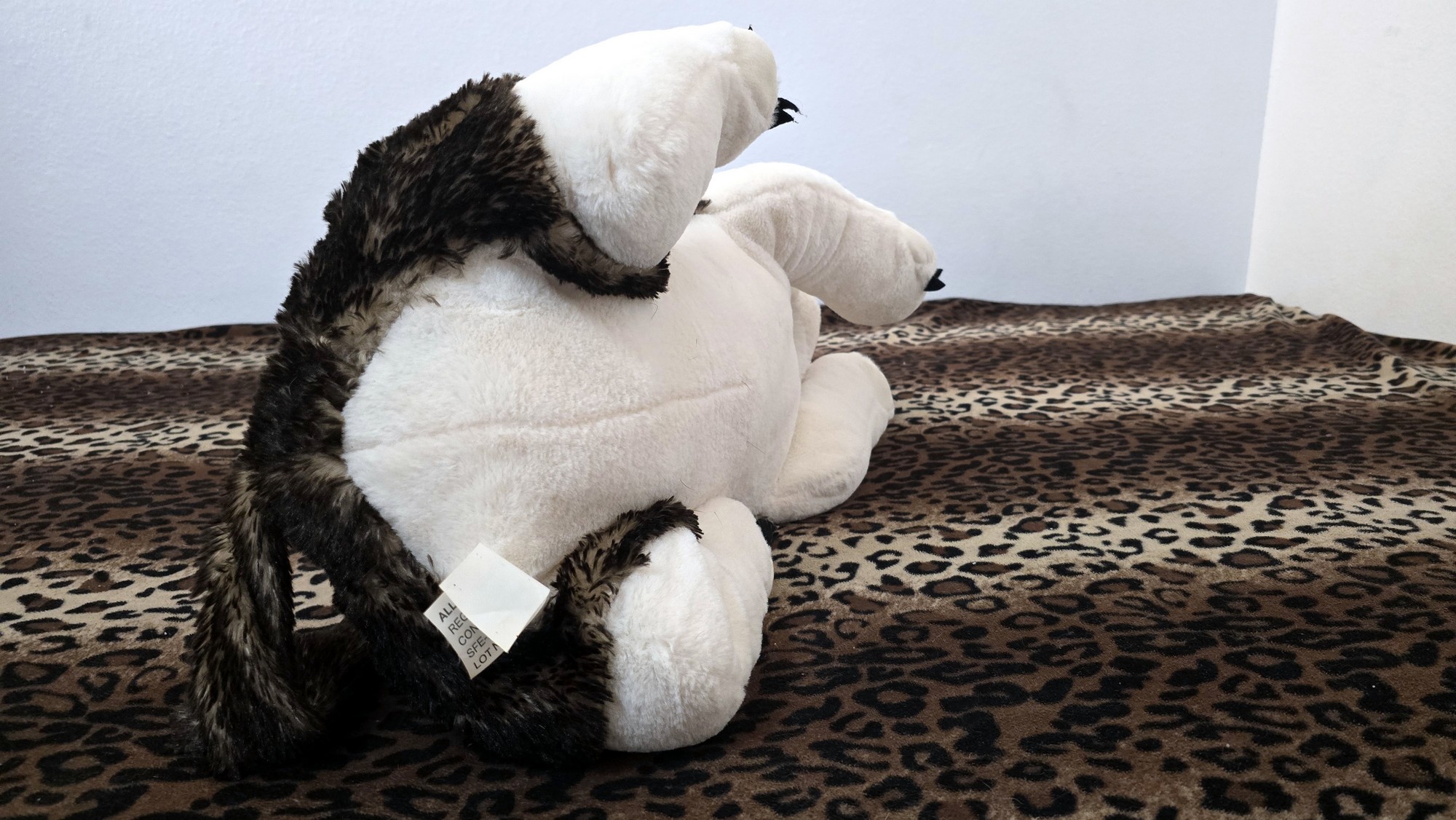 20260216_144634 (Copy)