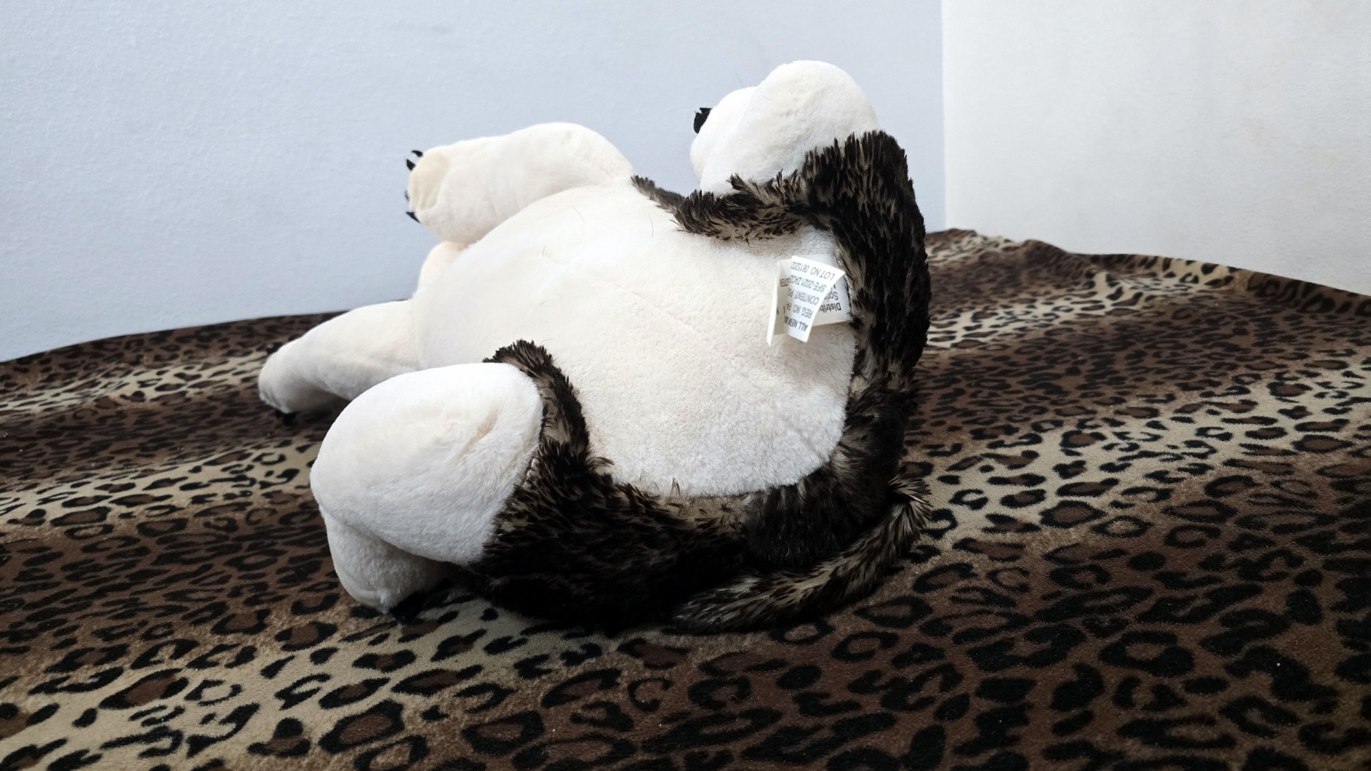 20260216_144640 (Copy)