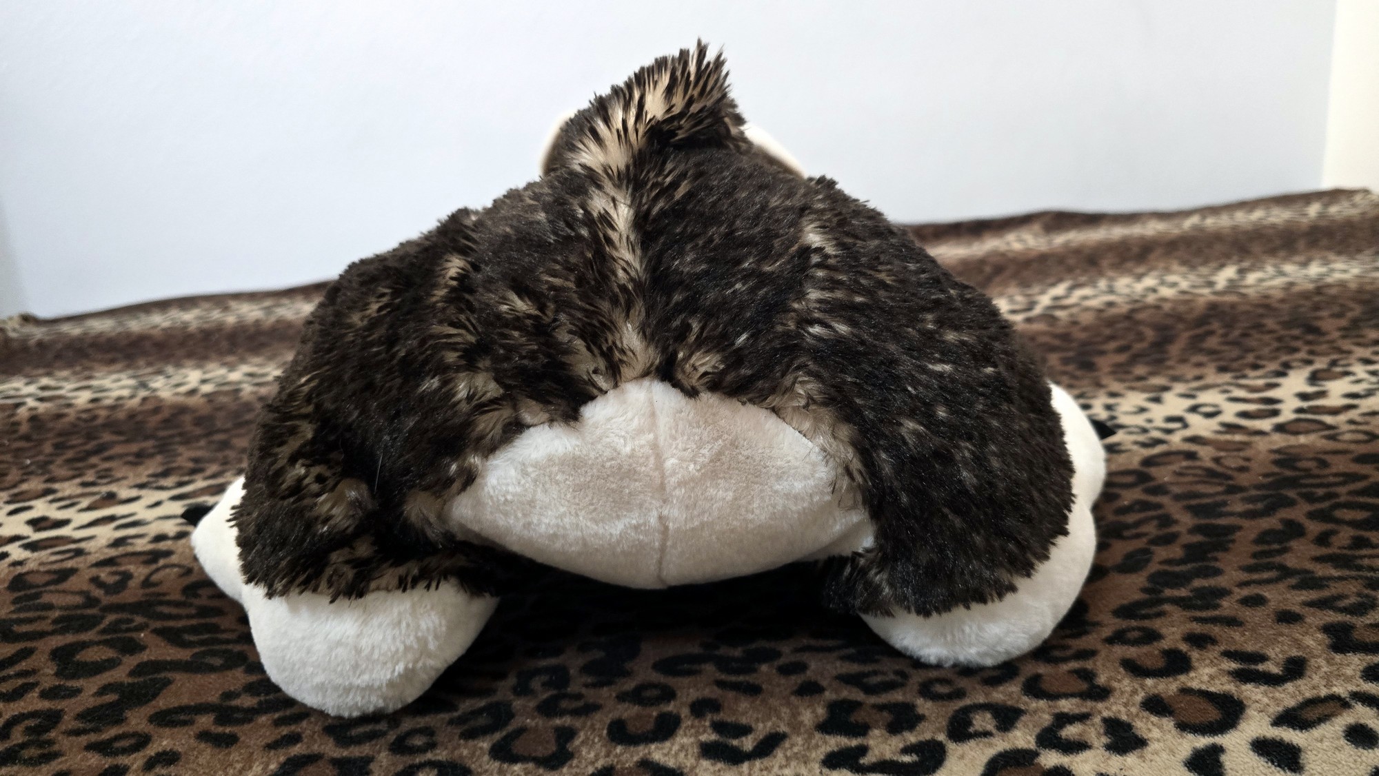 20260216_171925 (Copy)