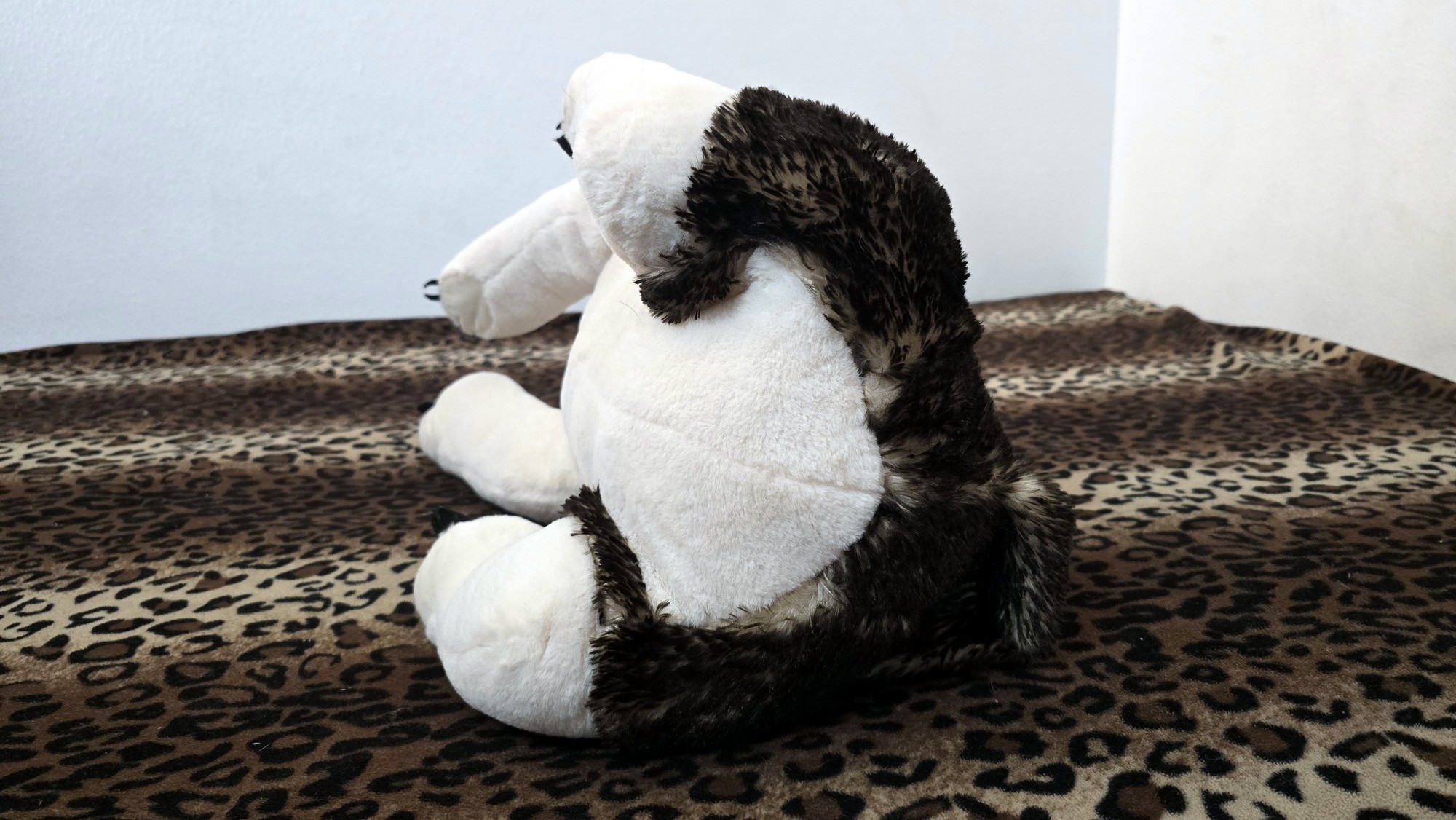 20260216_171938 (Copy)