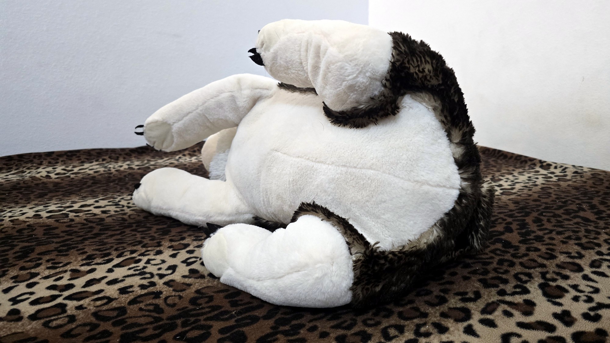 20260216_171941 (Copy)