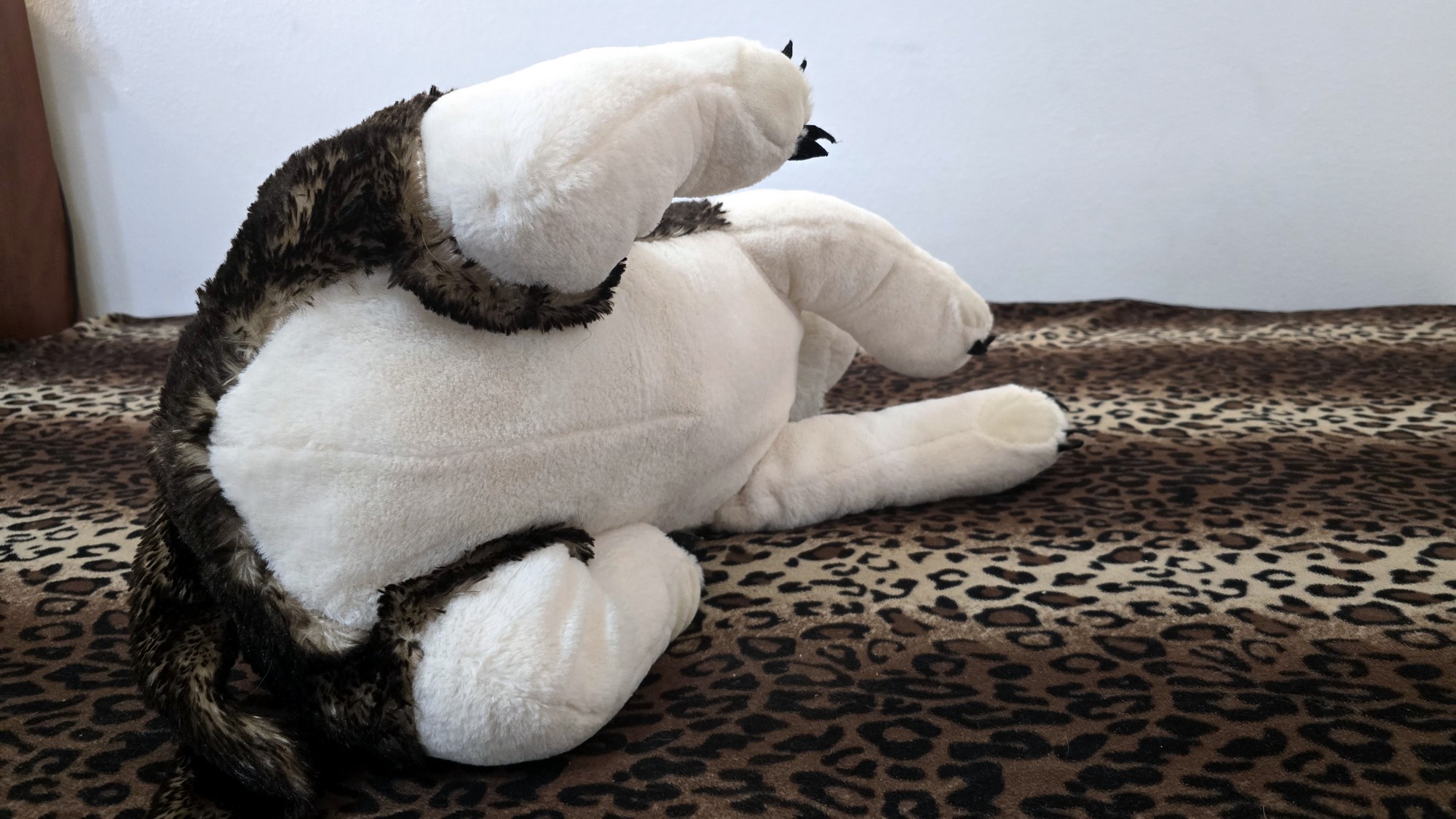 20260216_171948 (Copy)