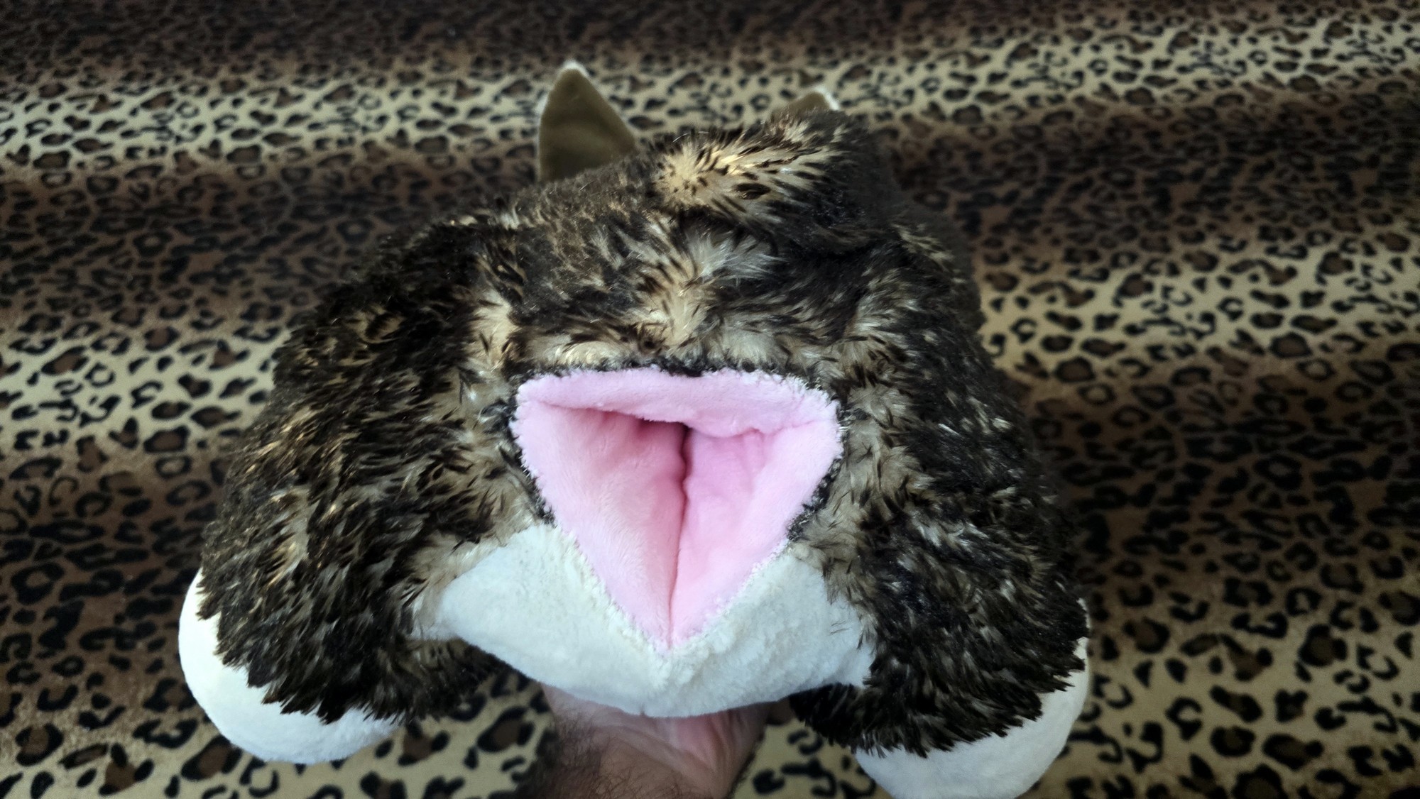 20260216_191837 (Copy)