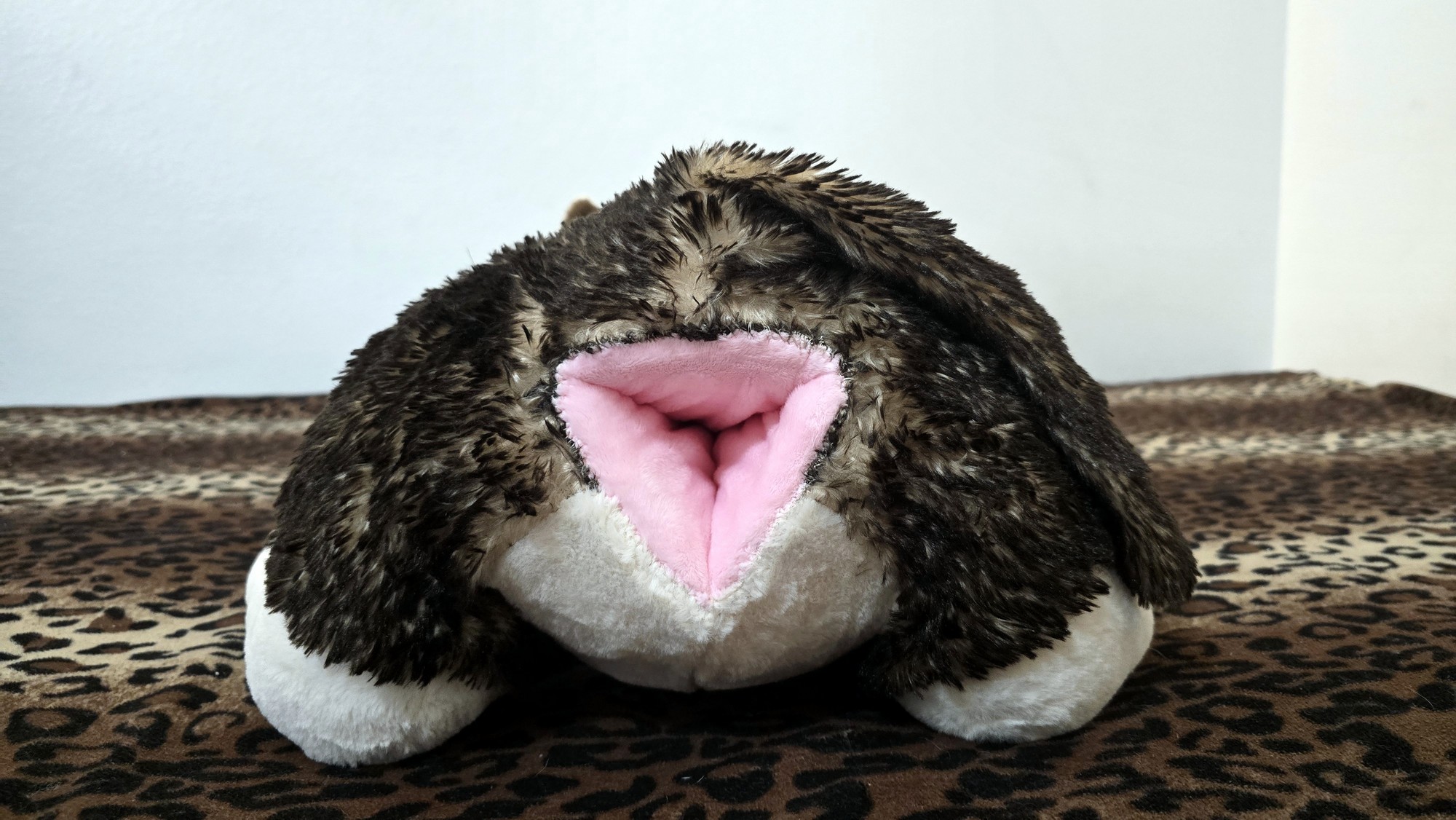 20260216_191851 (Copy)