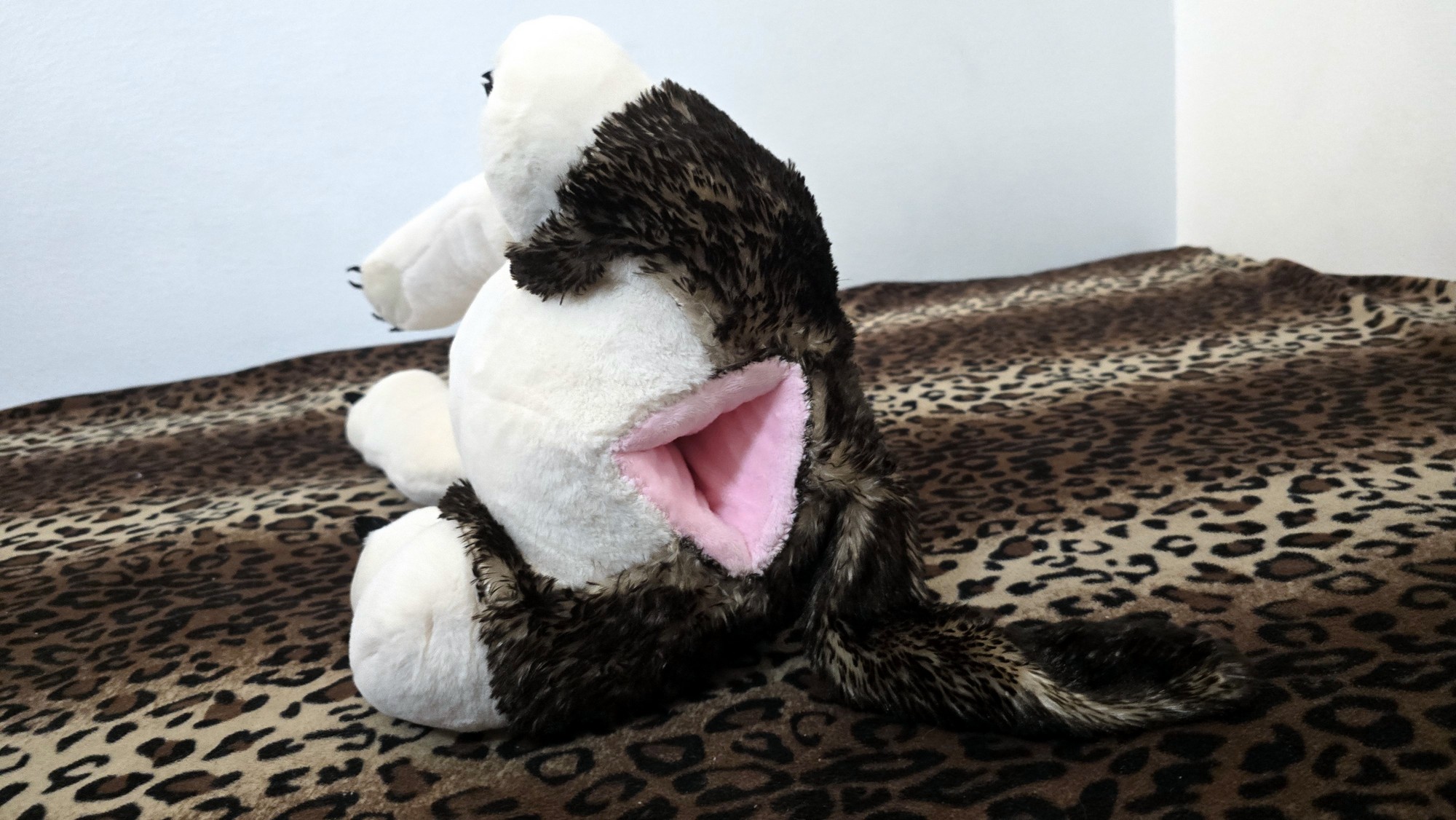 20260216_191858 (Copy)