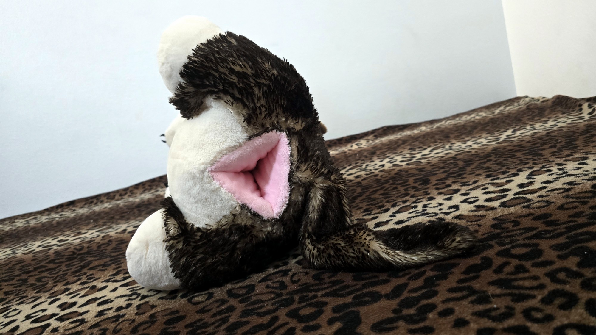 20260216_191900 (Copy)