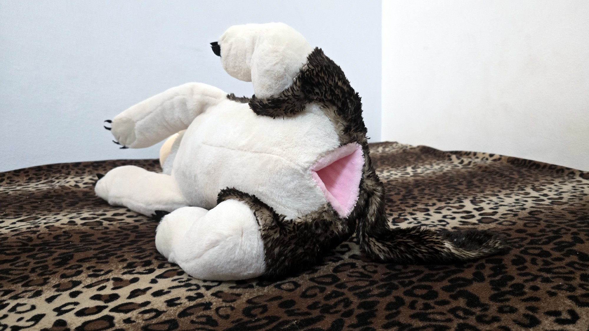 20260216_191902 (Copy)