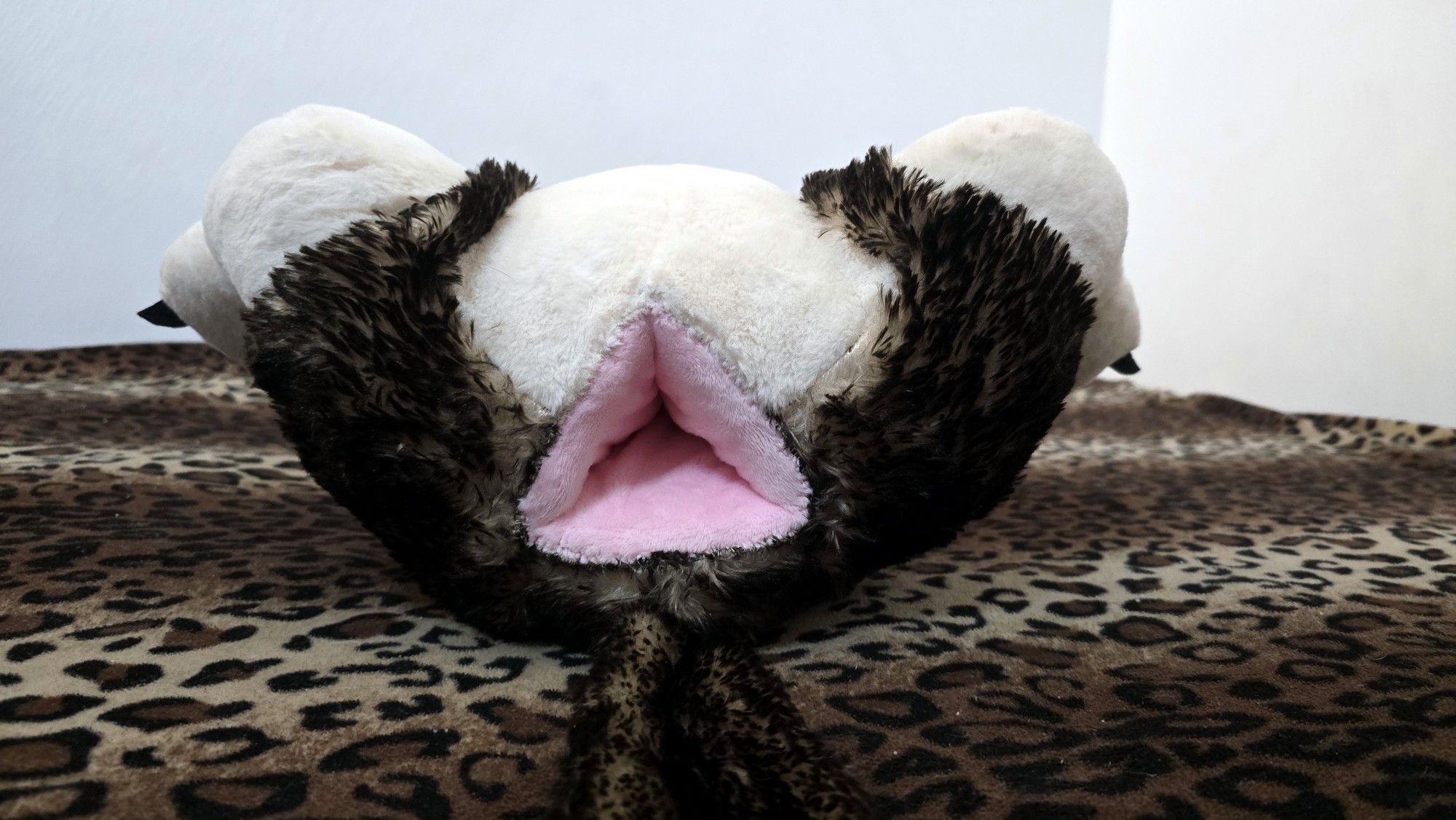 20260216_191909 (Copy)