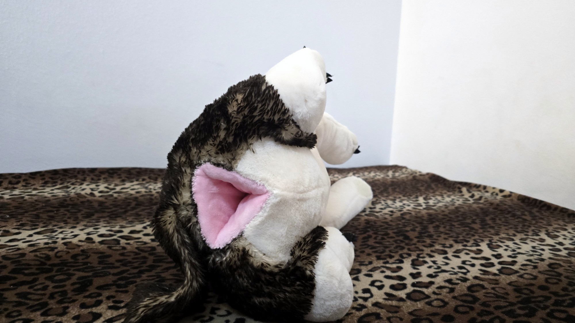 20260216_191914 (Copy)