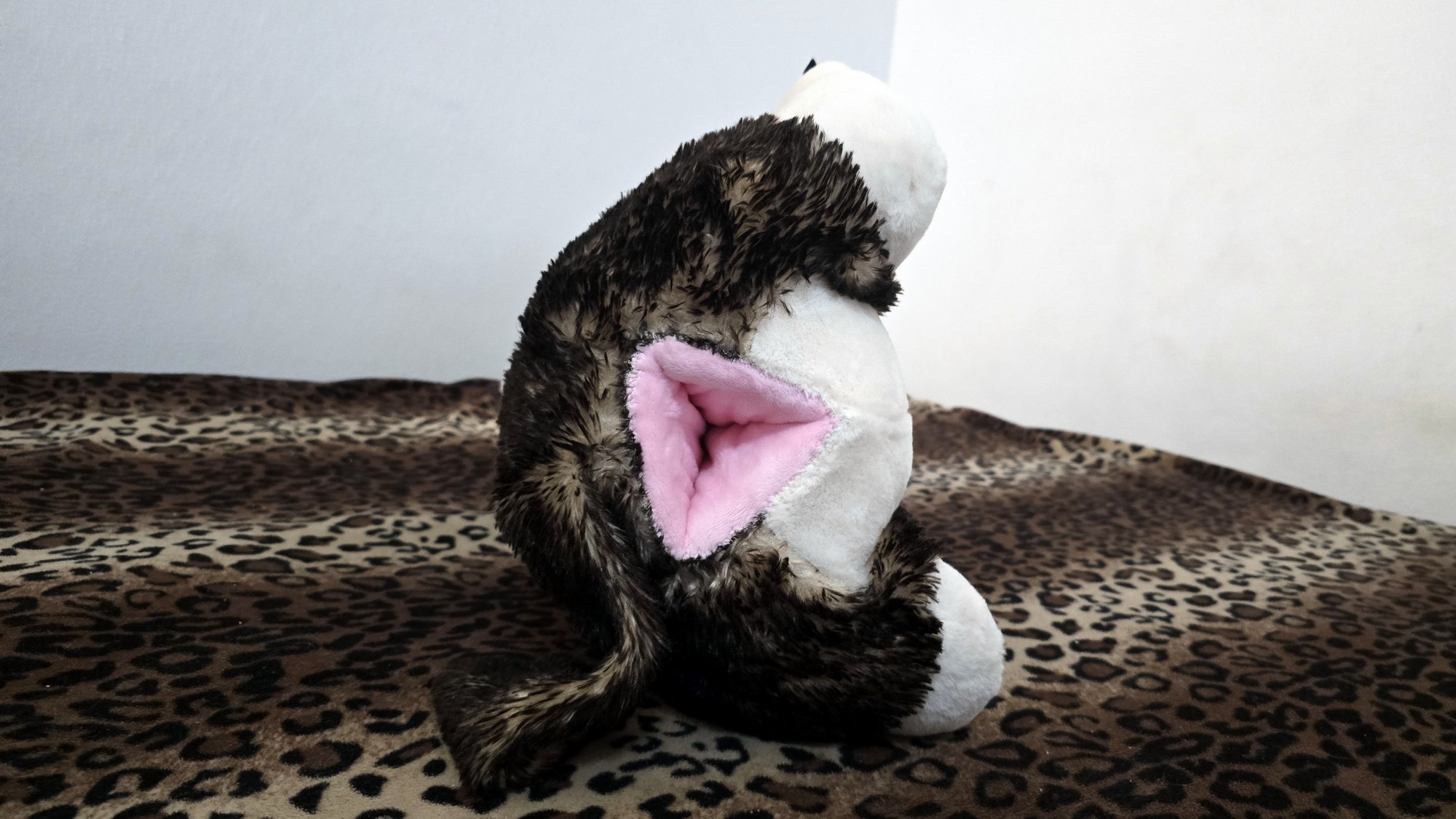 20260216_191915 (Copy)