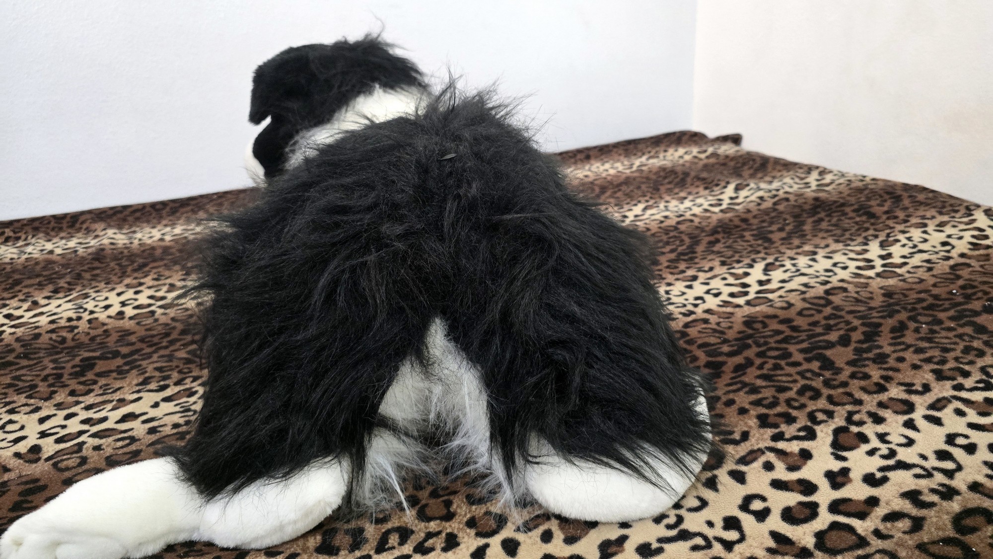 20260219_141210 (Copy)