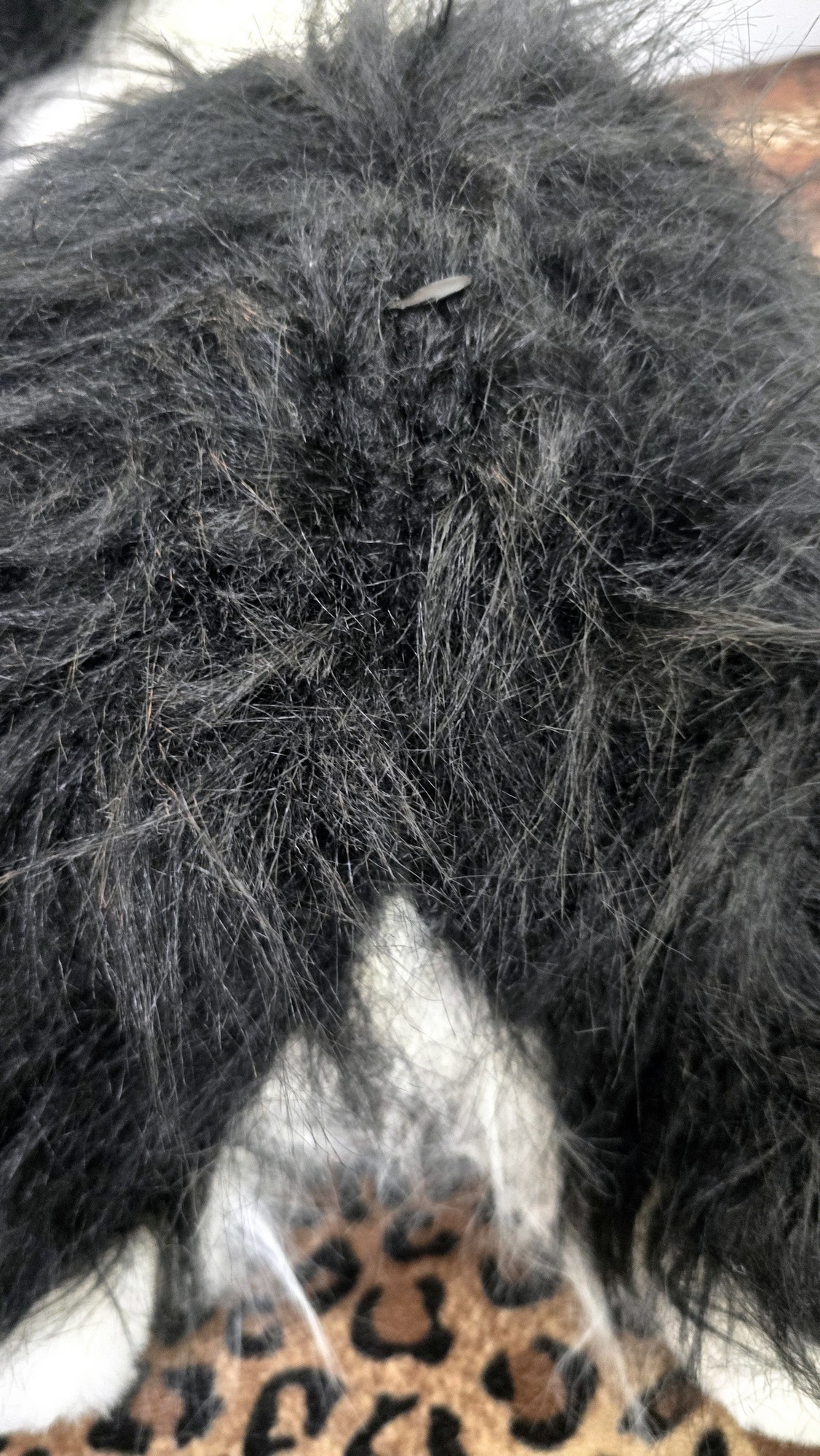 20260219_141212 (Copy)