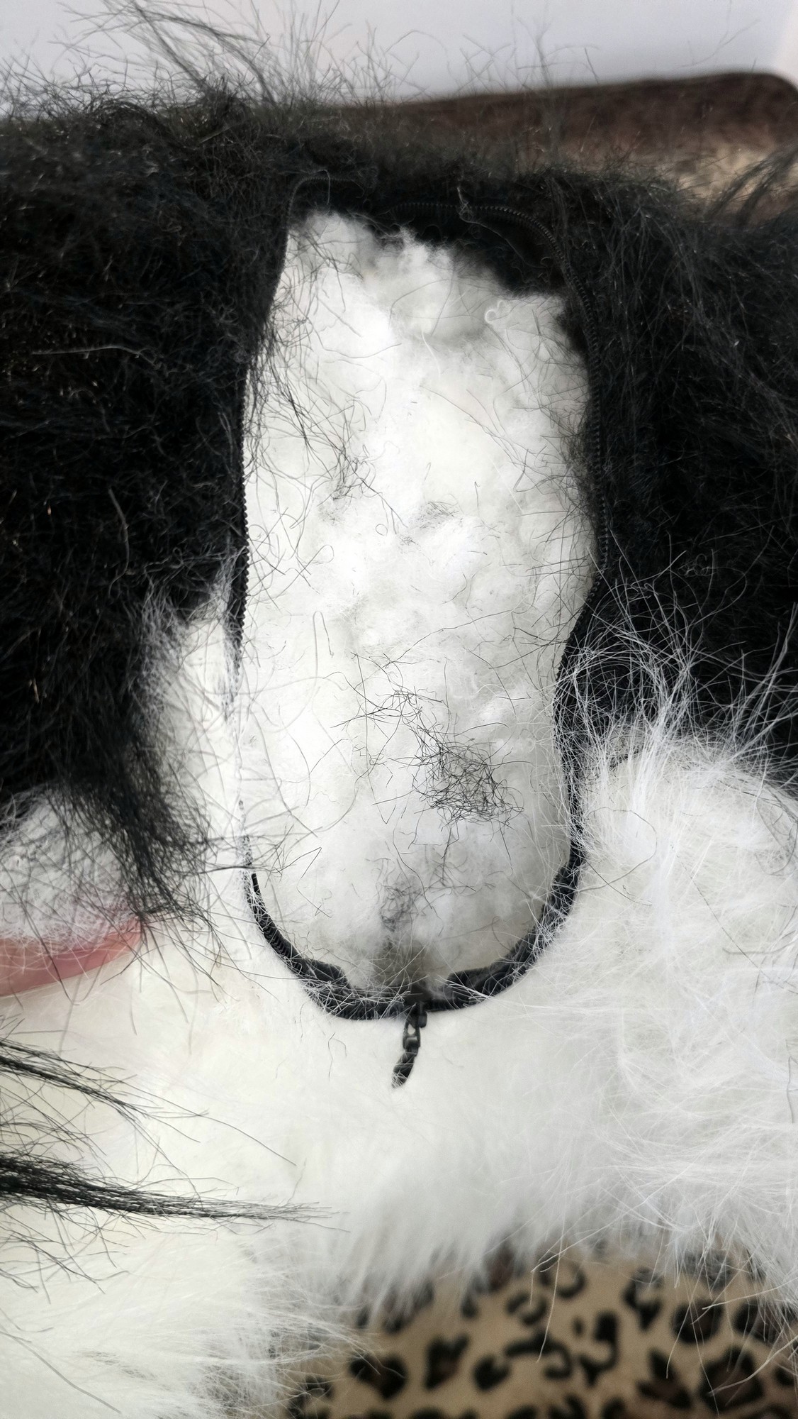 20260219_141232 (Copy)