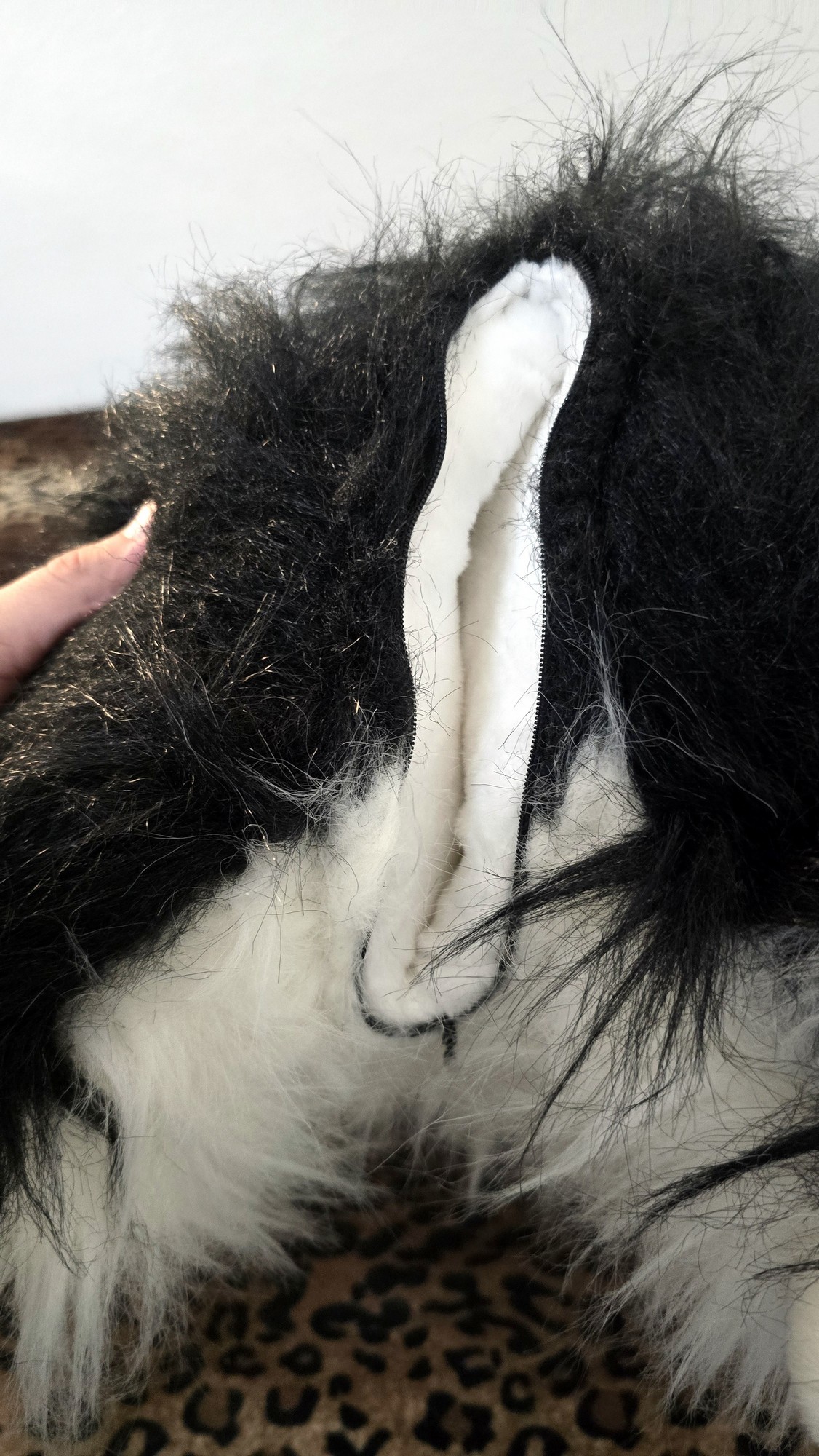 20260219_145314 (Copy)