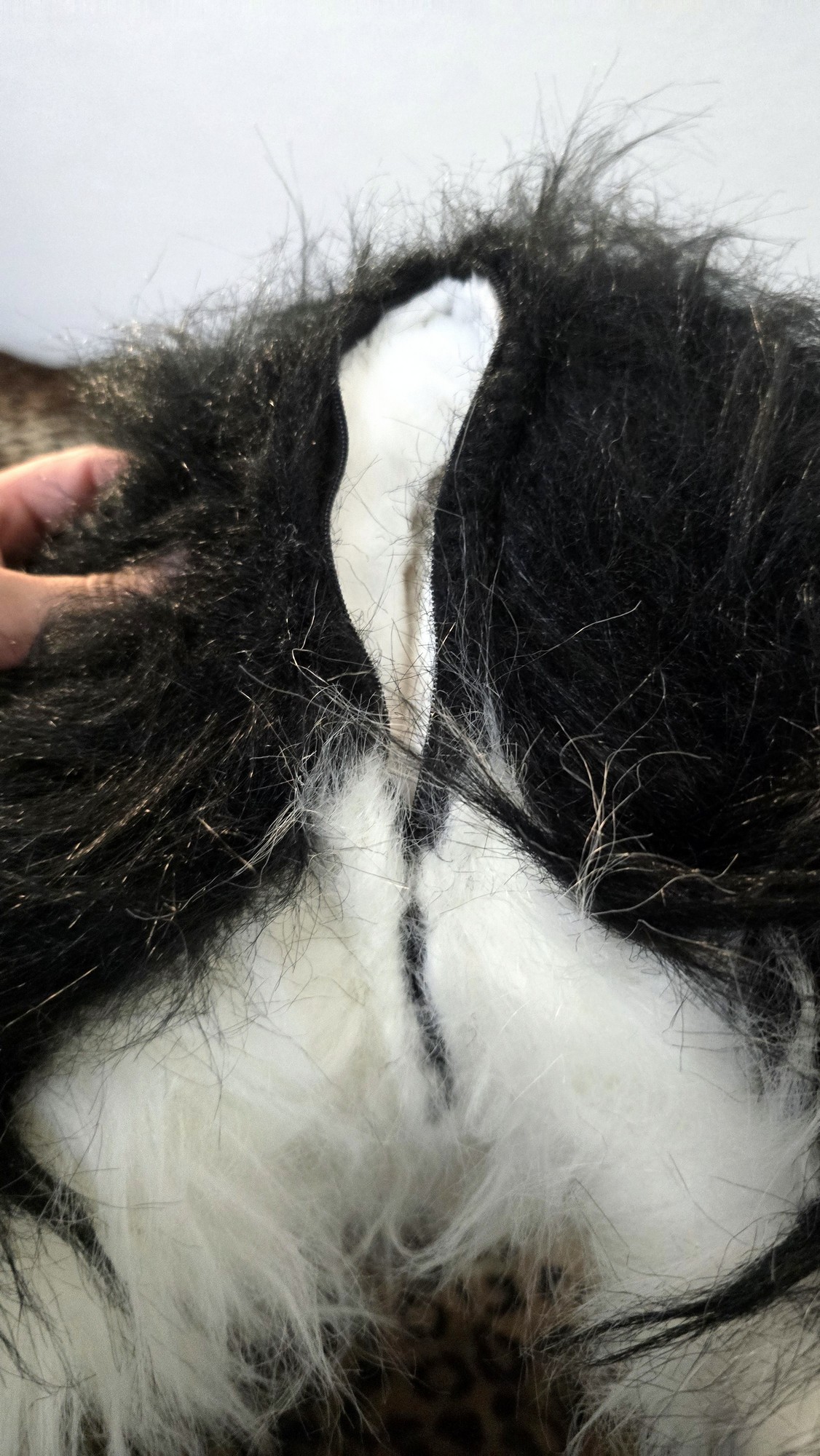 20260219_145345 (Copy)