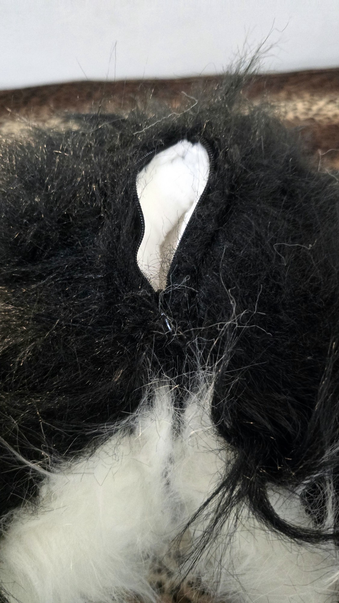 20260219_145359 (Copy)