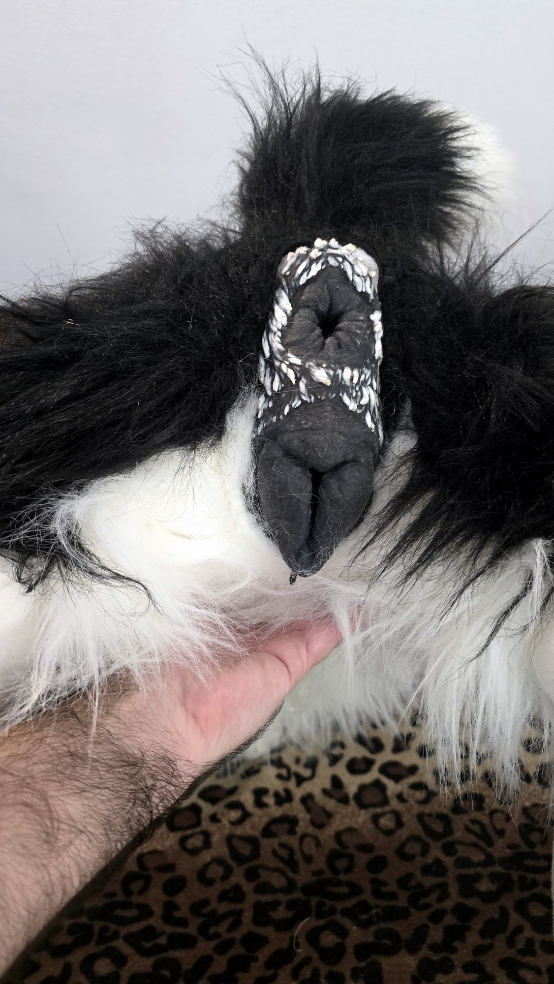 20260219_153341 (Copy)