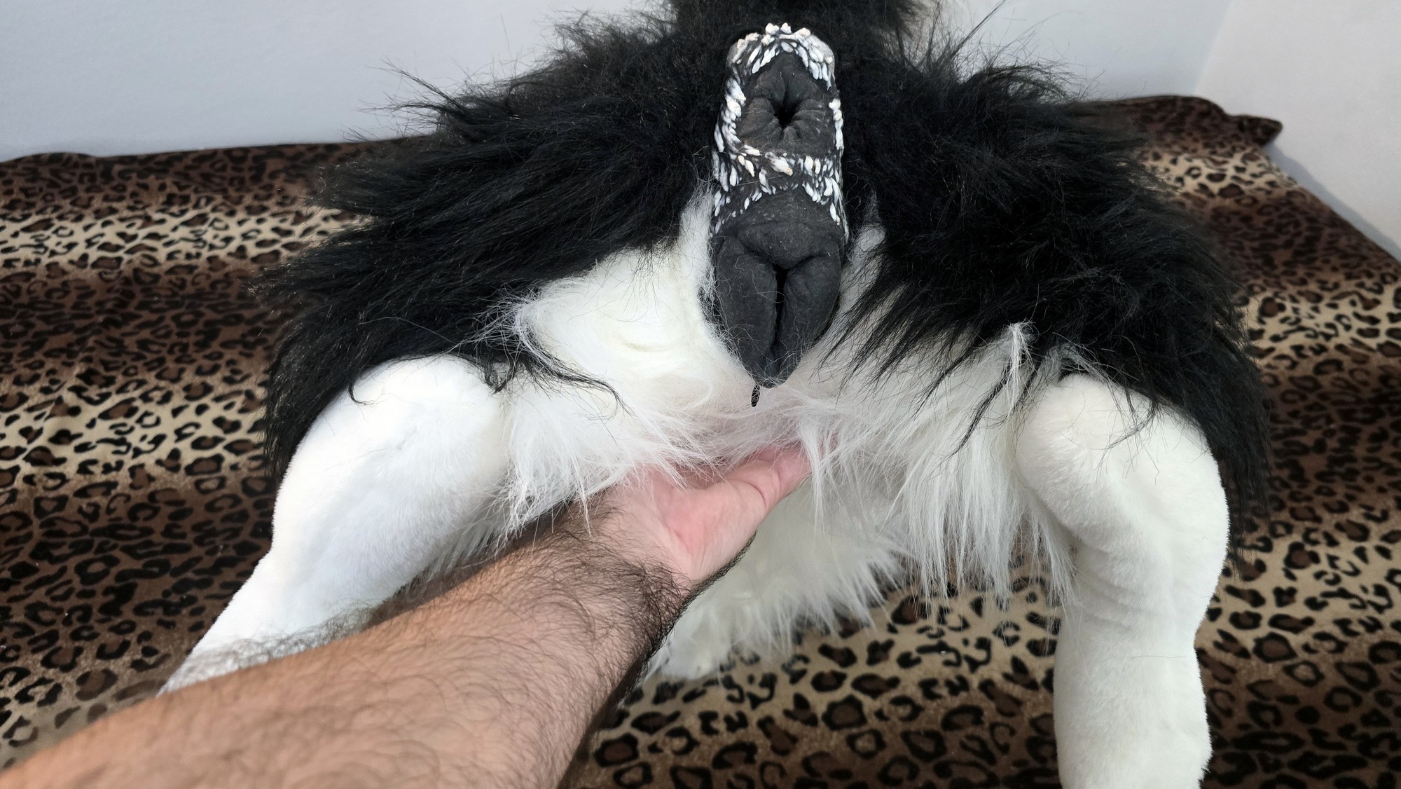 20260219_153344 (Copy)