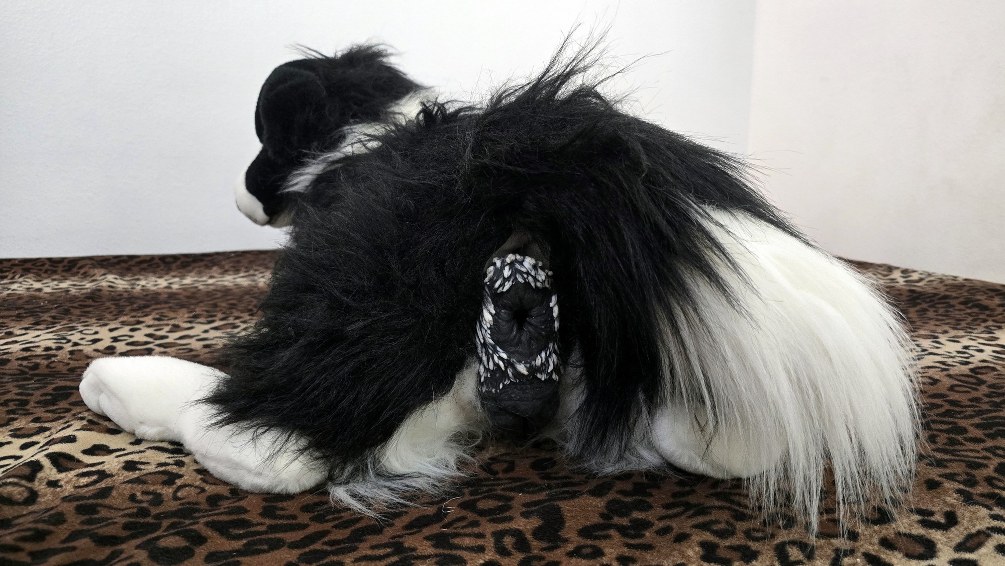 20260219_153355 (Copy)