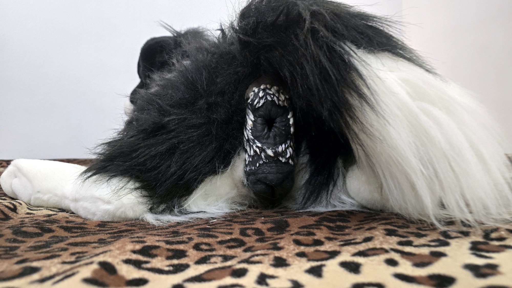 20260219_153409 (Copy)