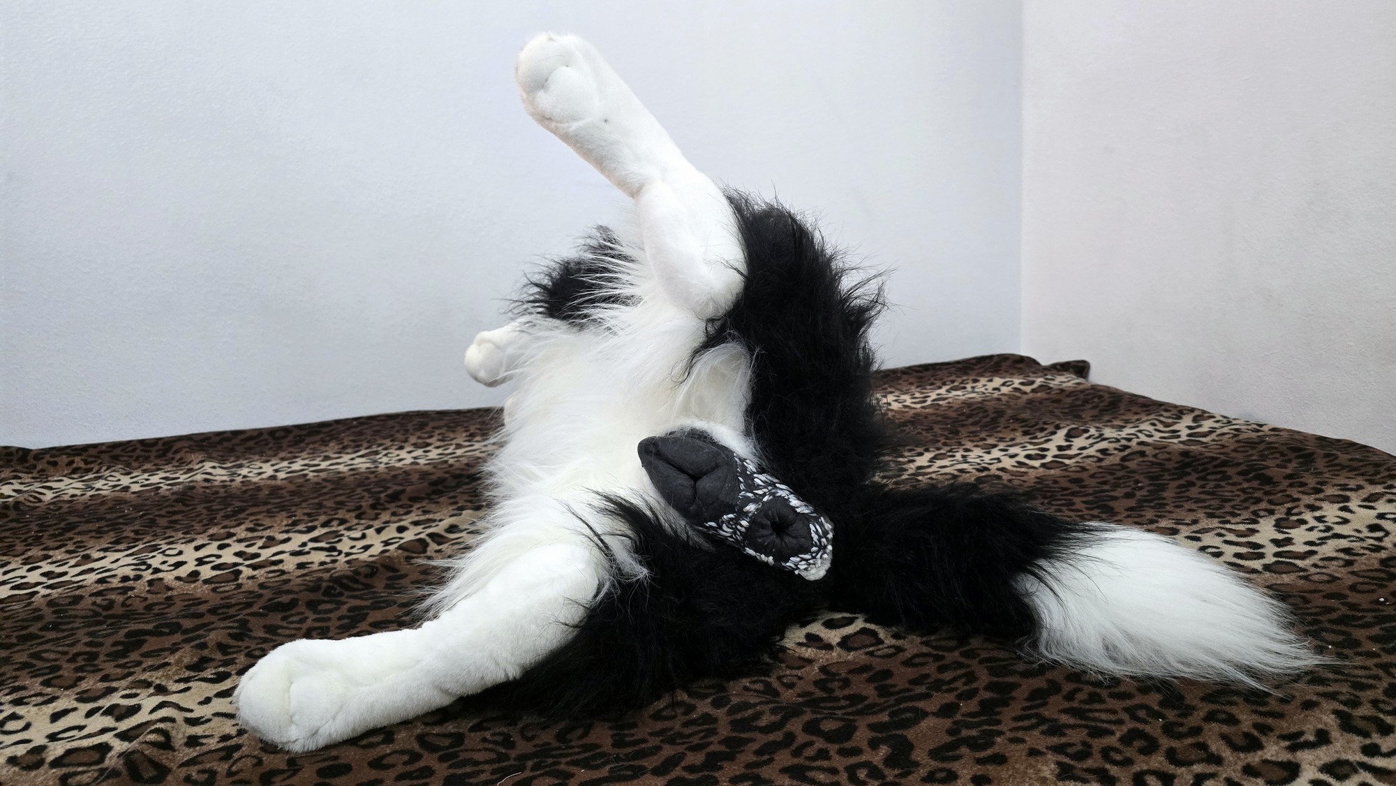 20260219_153426(0) (Copy)