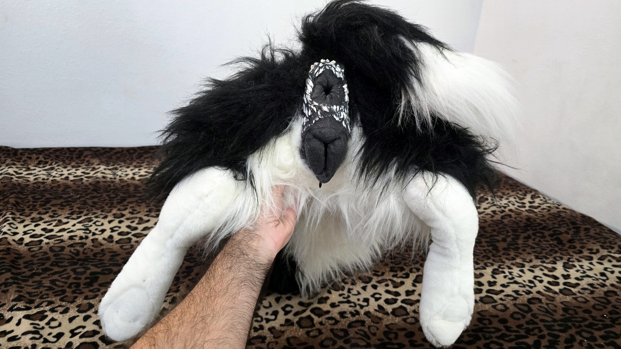 20260219_153516 (Copy)