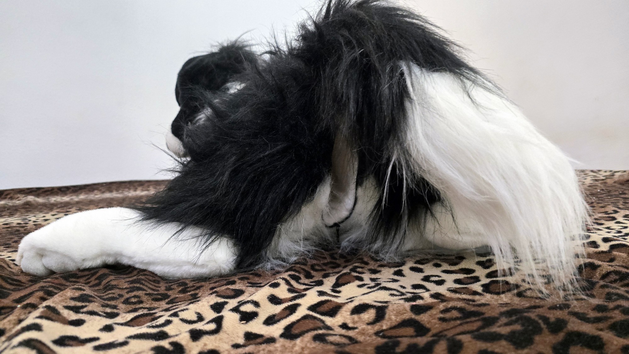 20260219_153605 (Copy)