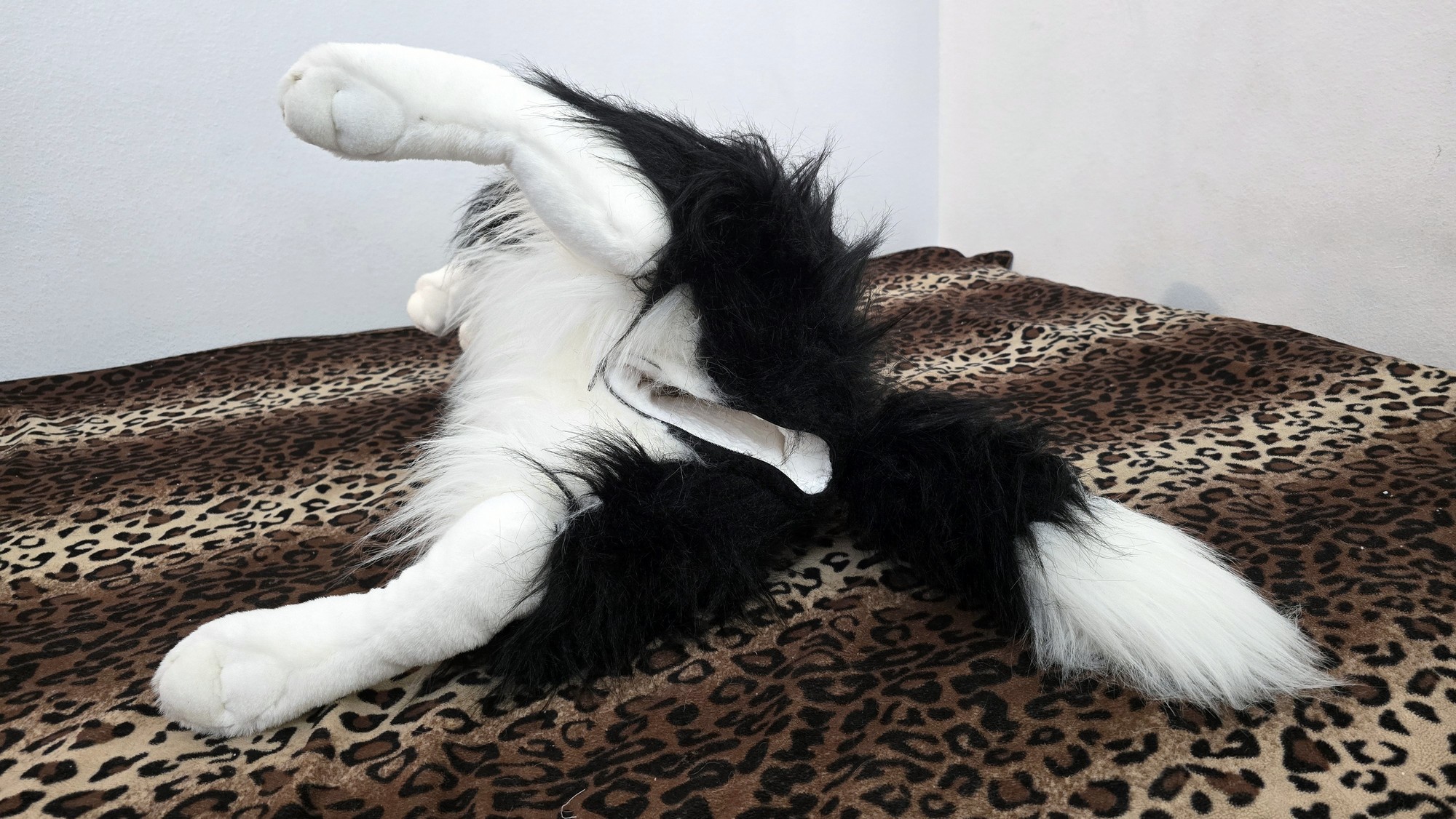 20260219_153615 (Copy)