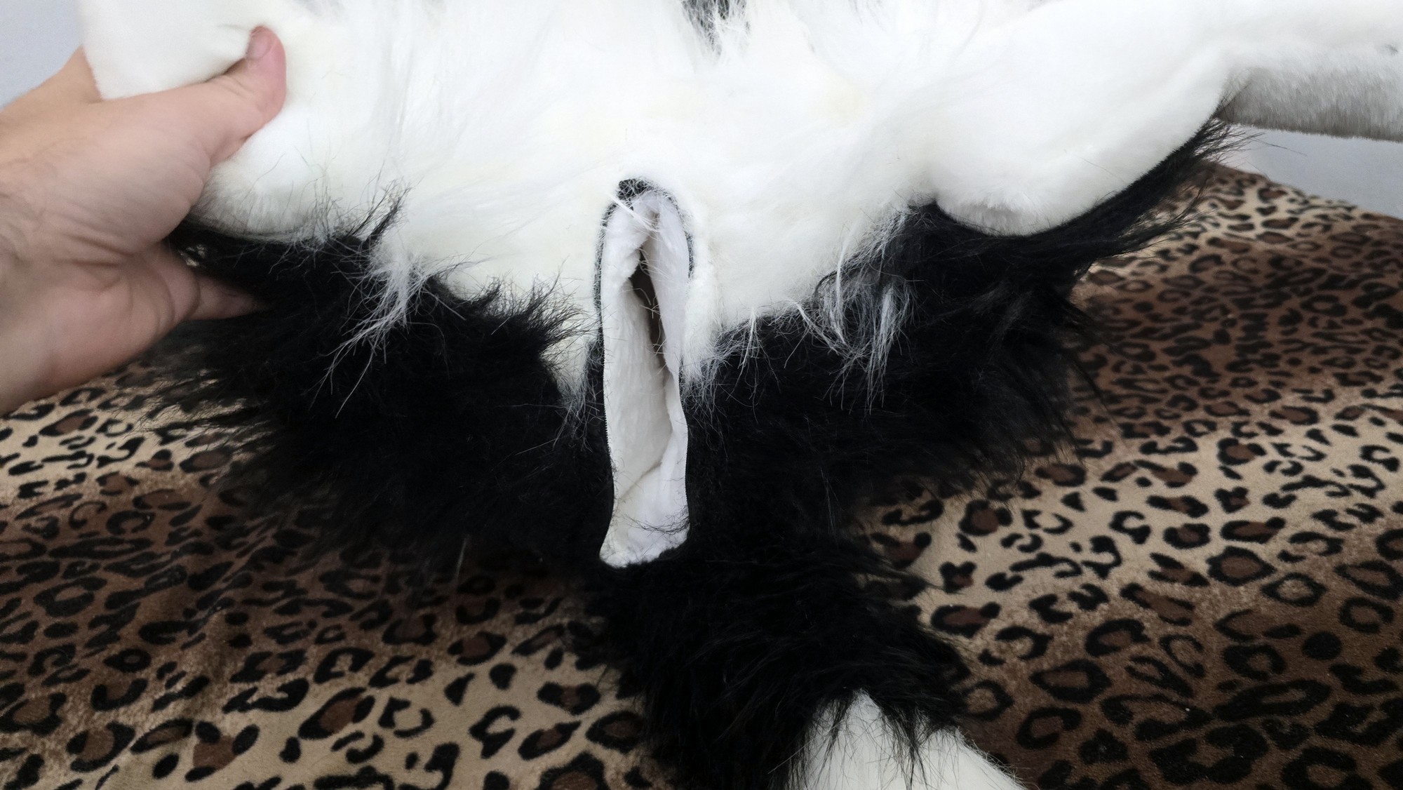 20260219_153619 (Copy)