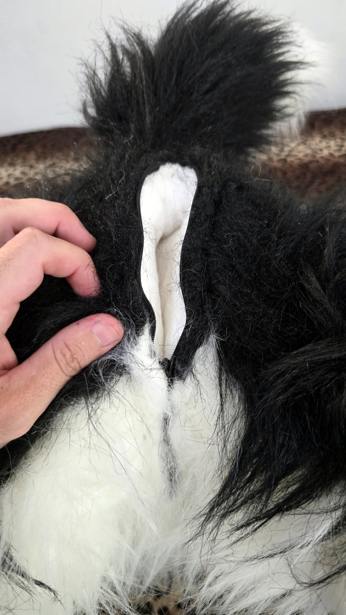 20260219_153719 (Copy)