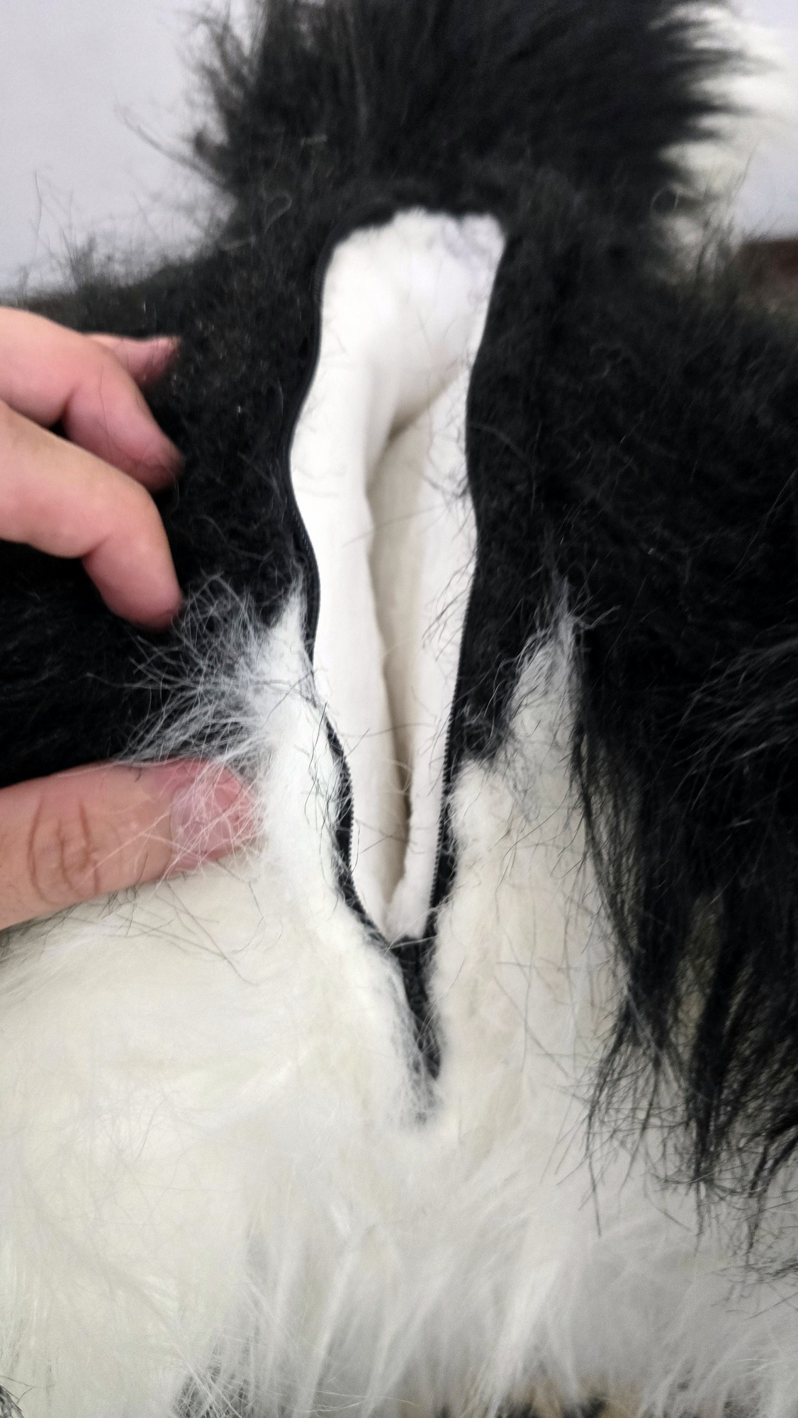 20260219_153725 (Copy)