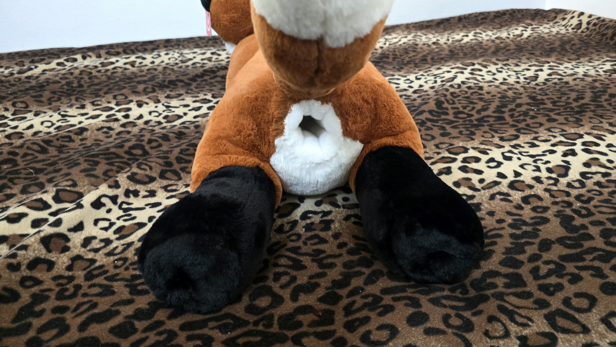 20260226_122043 (Copy)