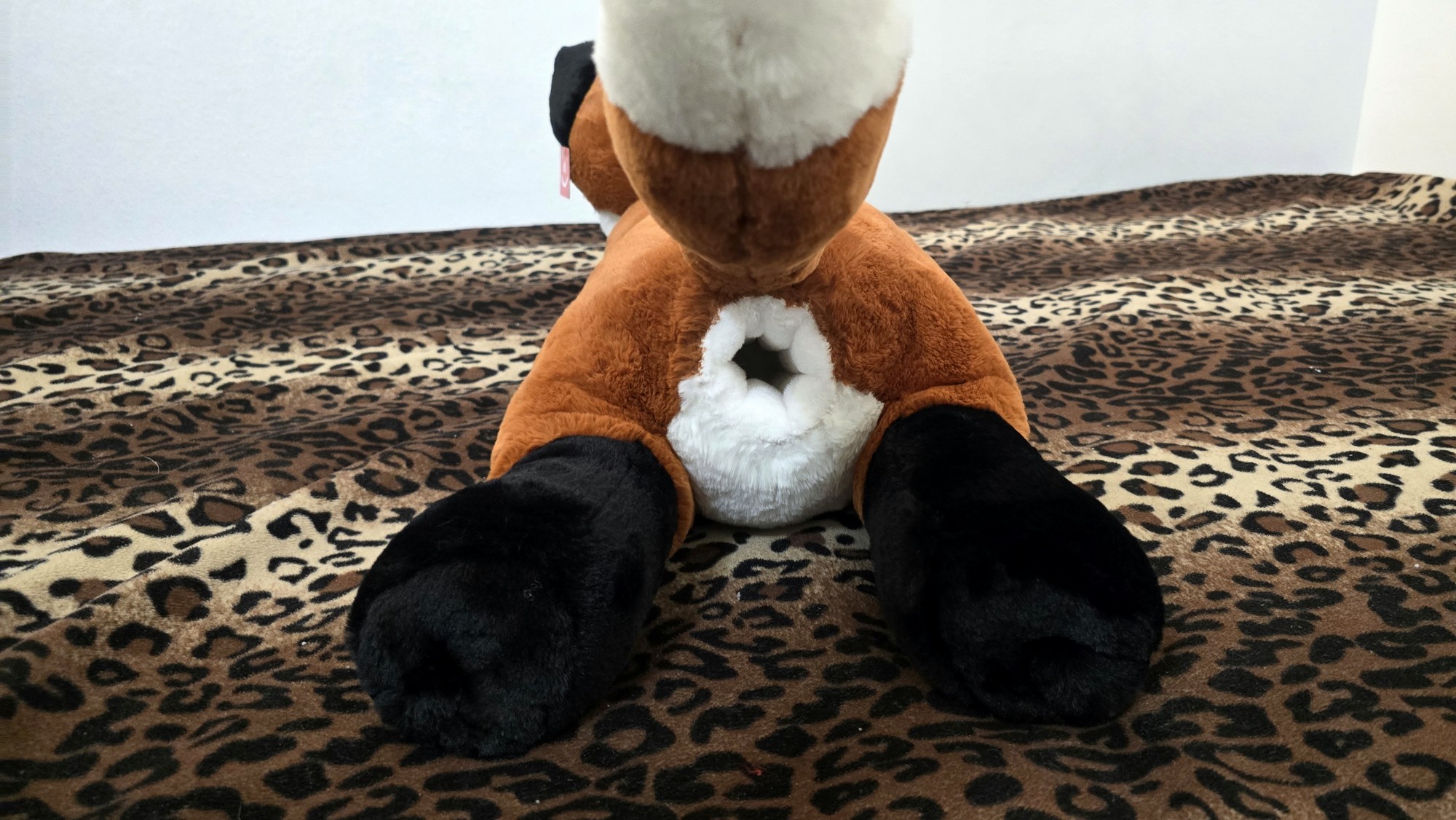 20260226_122043(0) (Copy)