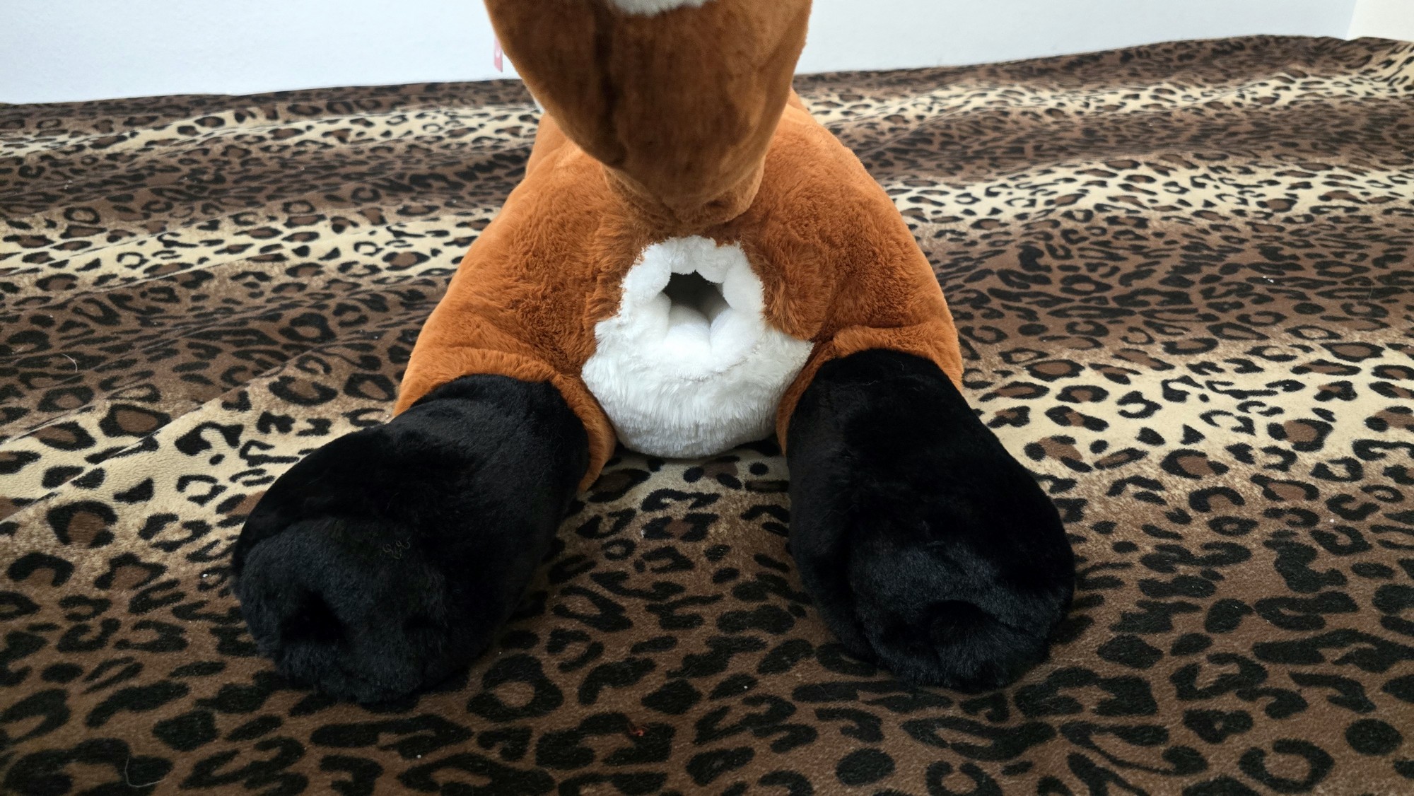 20260226_122050 (Copy)