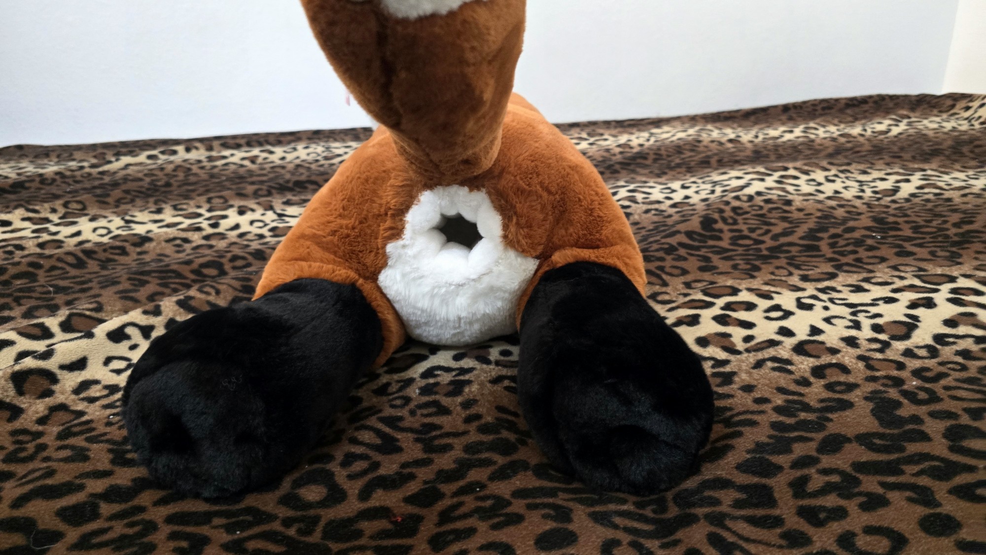 20260226_122051 (Copy)