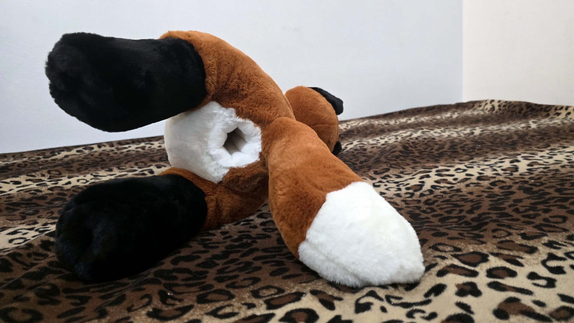 20260226_122107 (Copy)