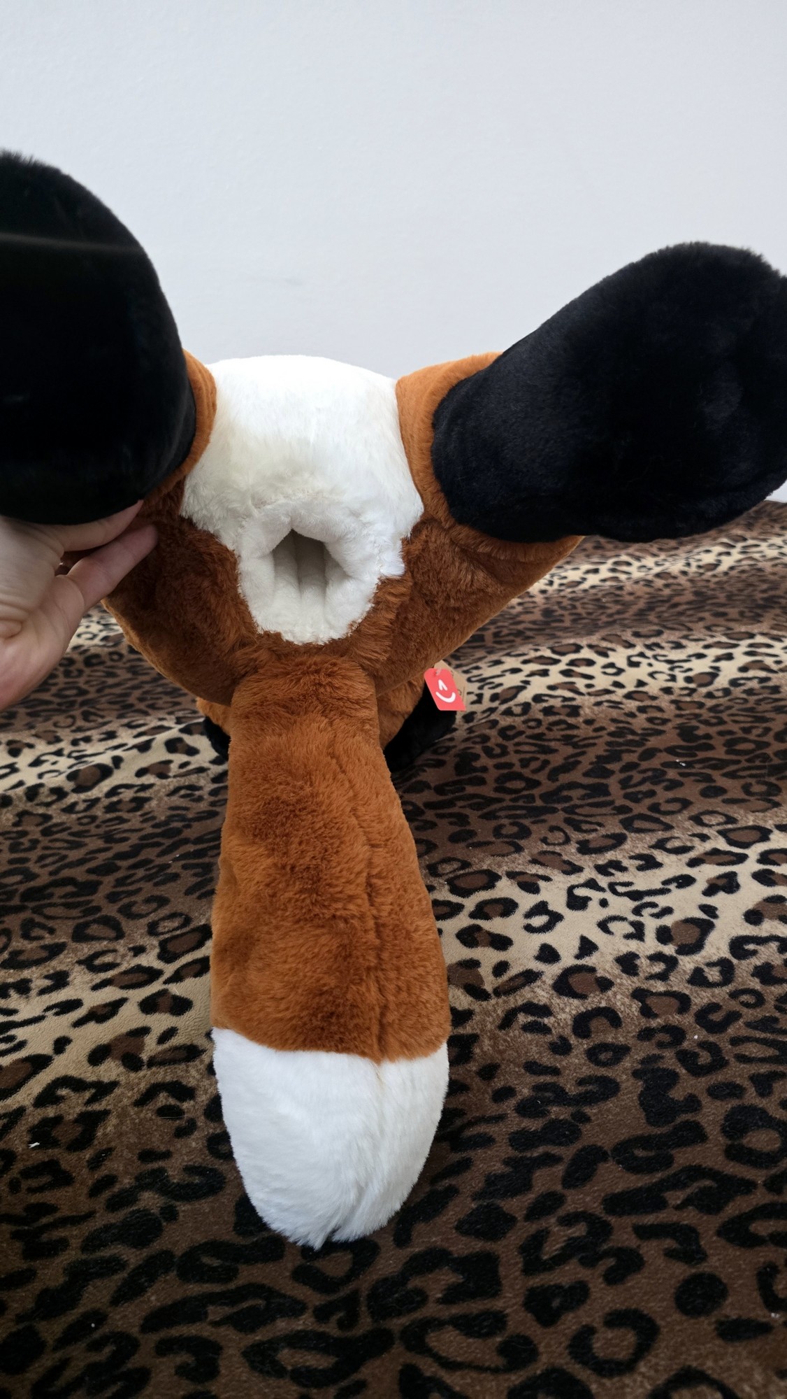 20260226_122114 (Copy)